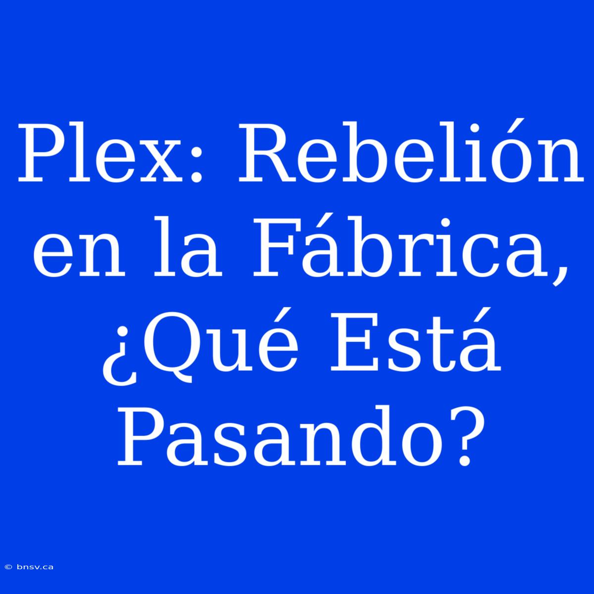 Plex: Rebelión En La Fábrica, ¿Qué Está Pasando?