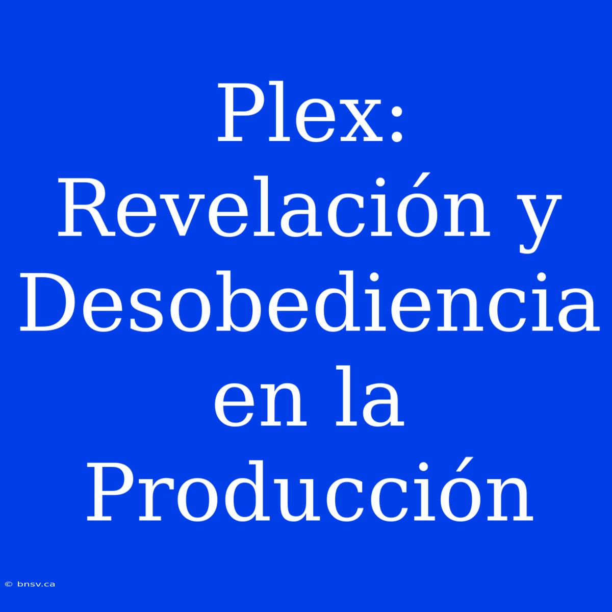 Plex: Revelación Y Desobediencia En La Producción