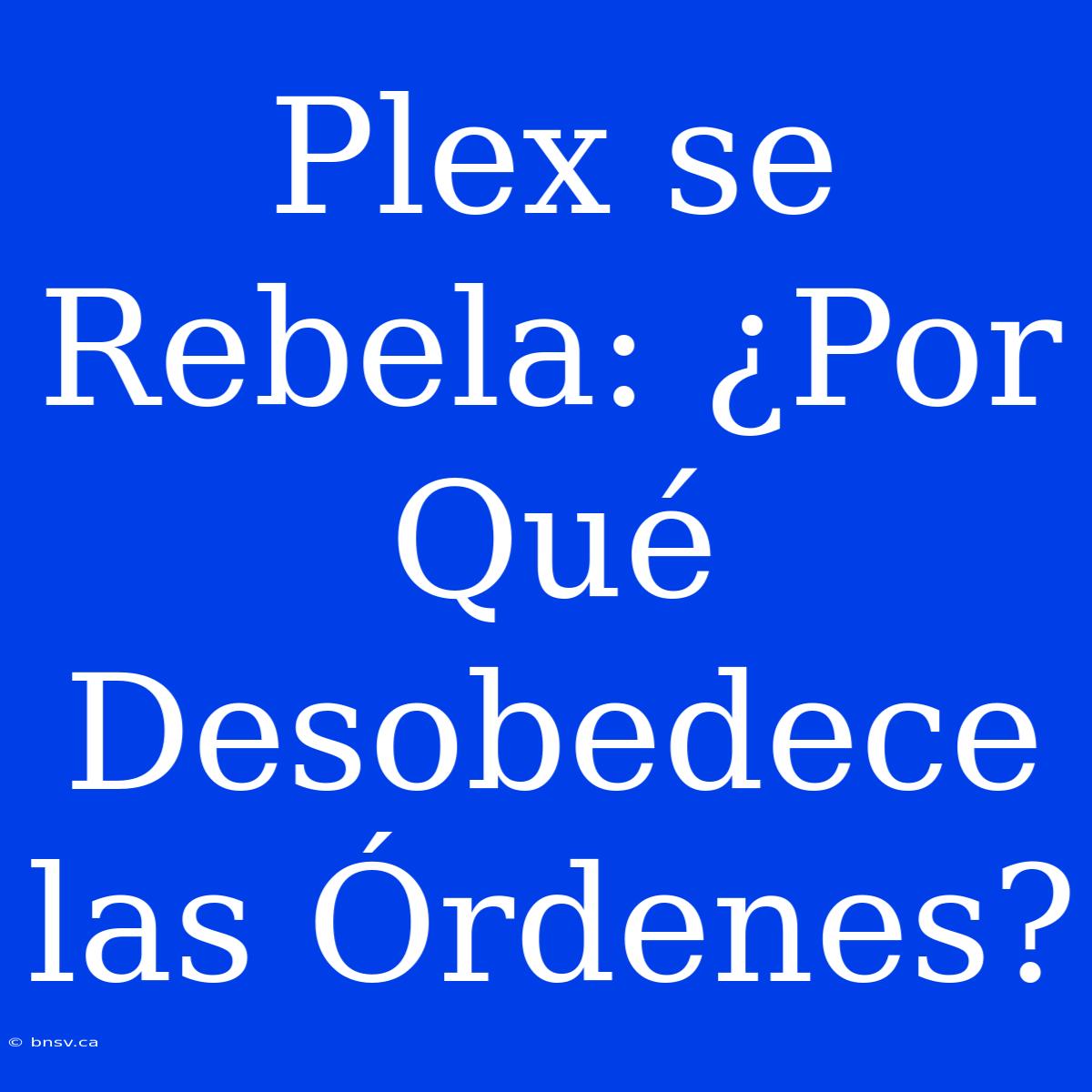 Plex Se Rebela: ¿Por Qué Desobedece Las Órdenes?