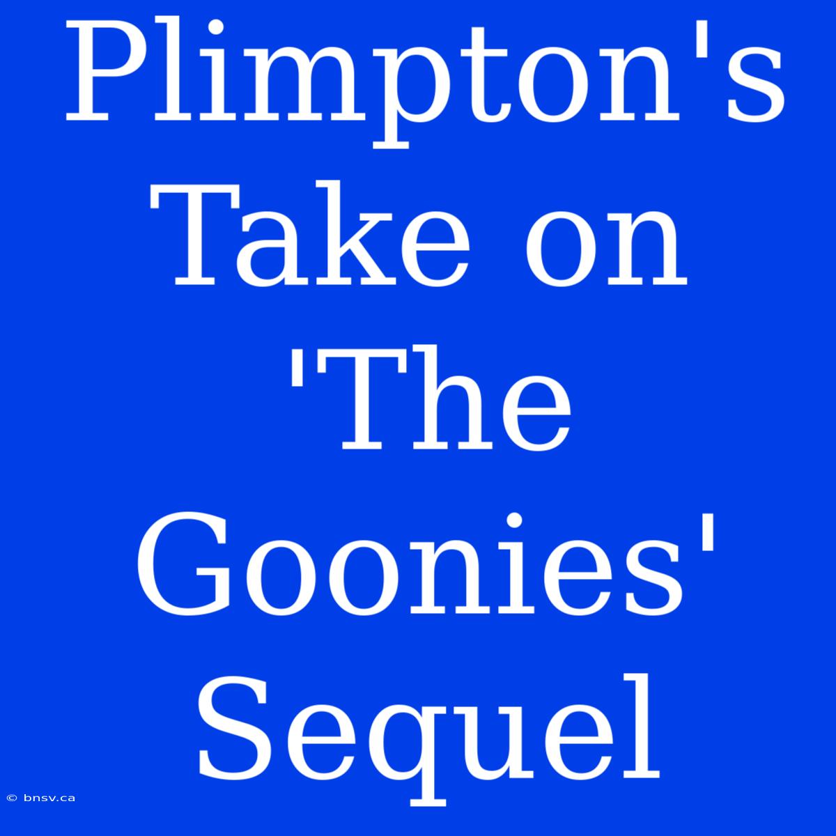 Plimpton's Take On 'The Goonies' Sequel