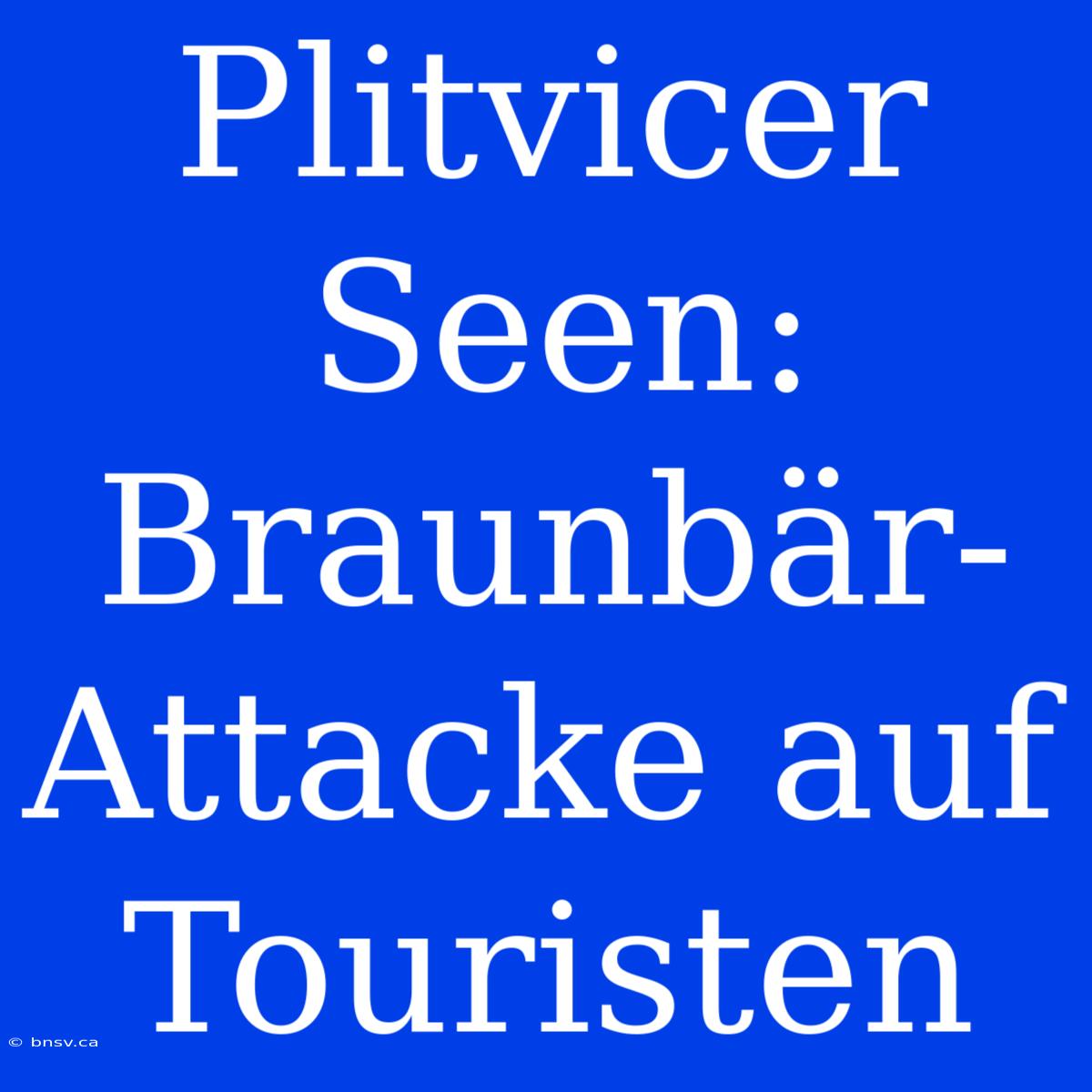 Plitvicer Seen: Braunbär-Attacke Auf Touristen