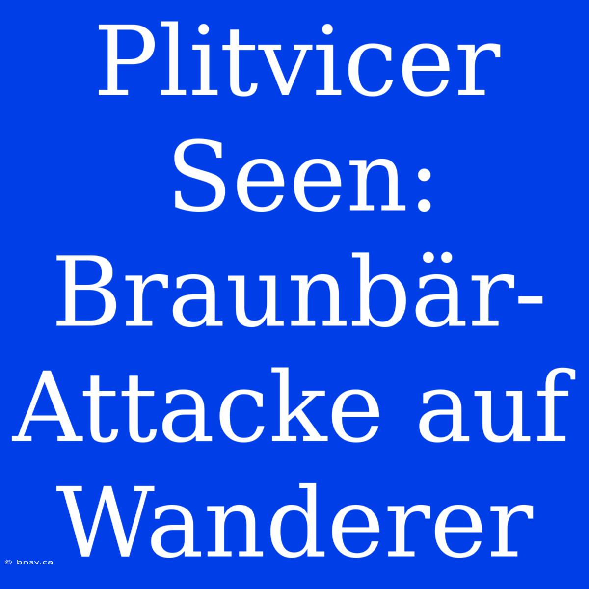 Plitvicer Seen: Braunbär-Attacke Auf Wanderer