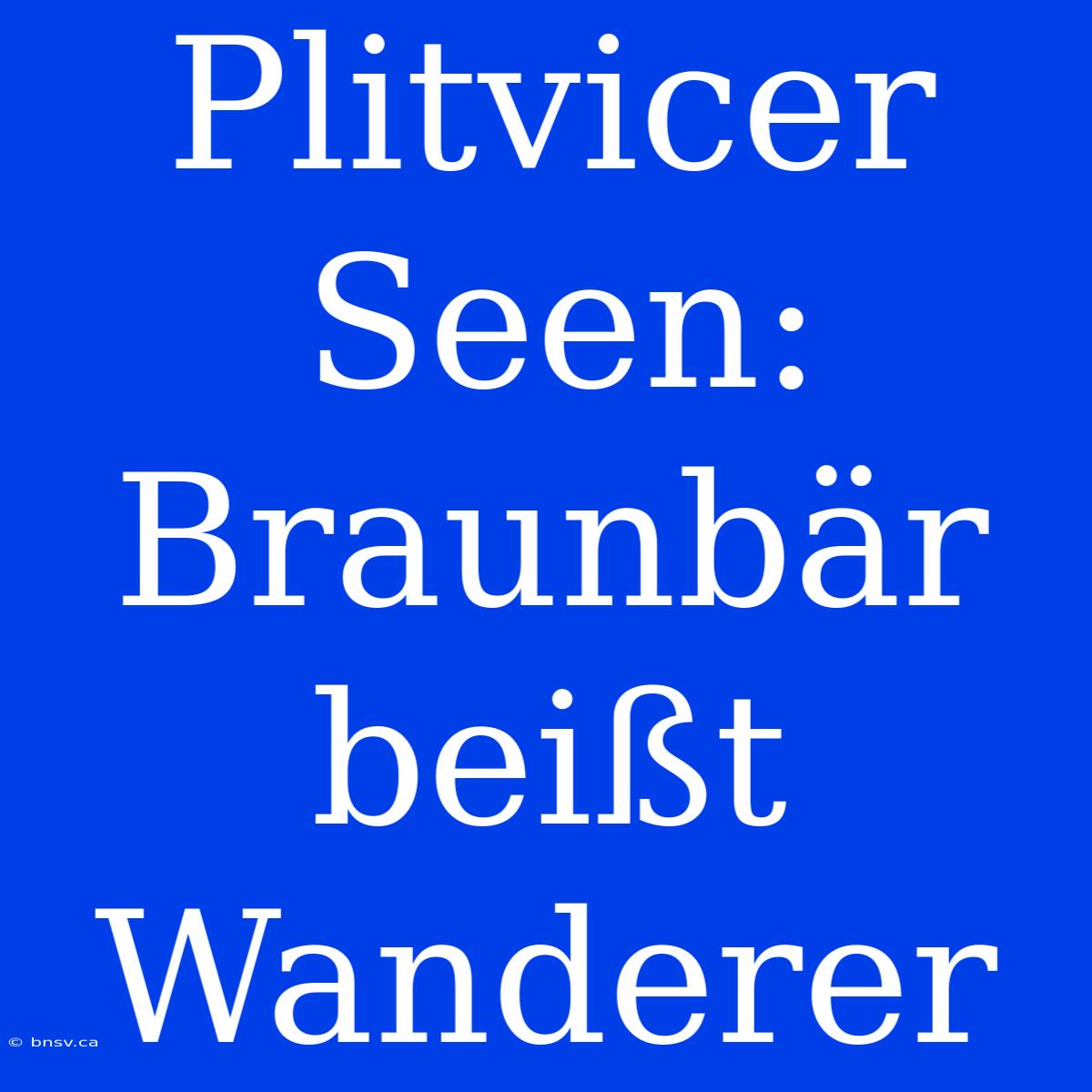 Plitvicer Seen: Braunbär Beißt Wanderer