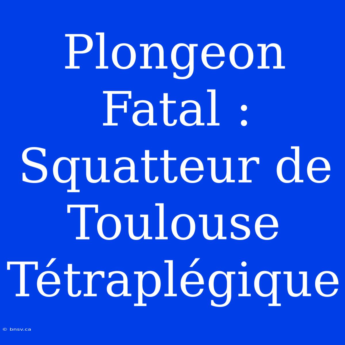 Plongeon Fatal : Squatteur De Toulouse Tétraplégique