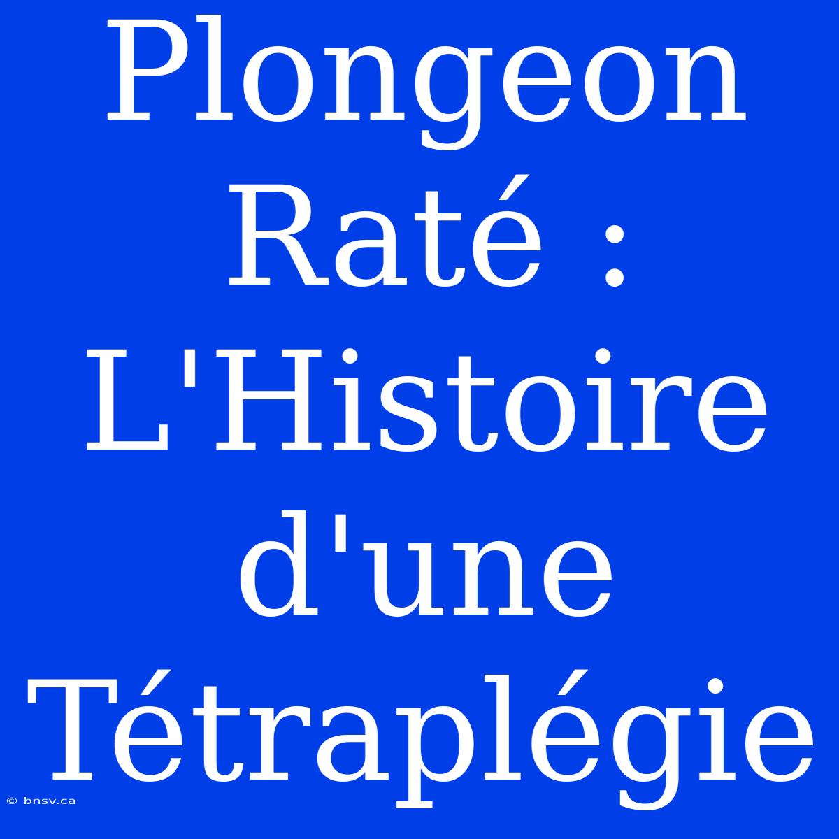 Plongeon Raté : L'Histoire D'une Tétraplégie