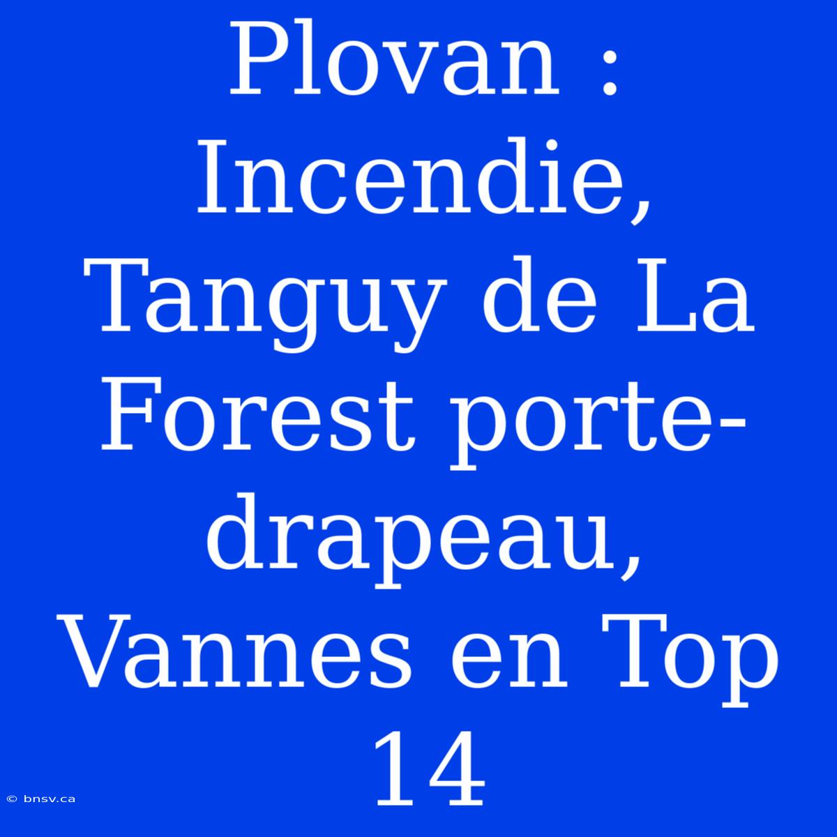 Plovan : Incendie, Tanguy De La Forest Porte-drapeau, Vannes En Top 14