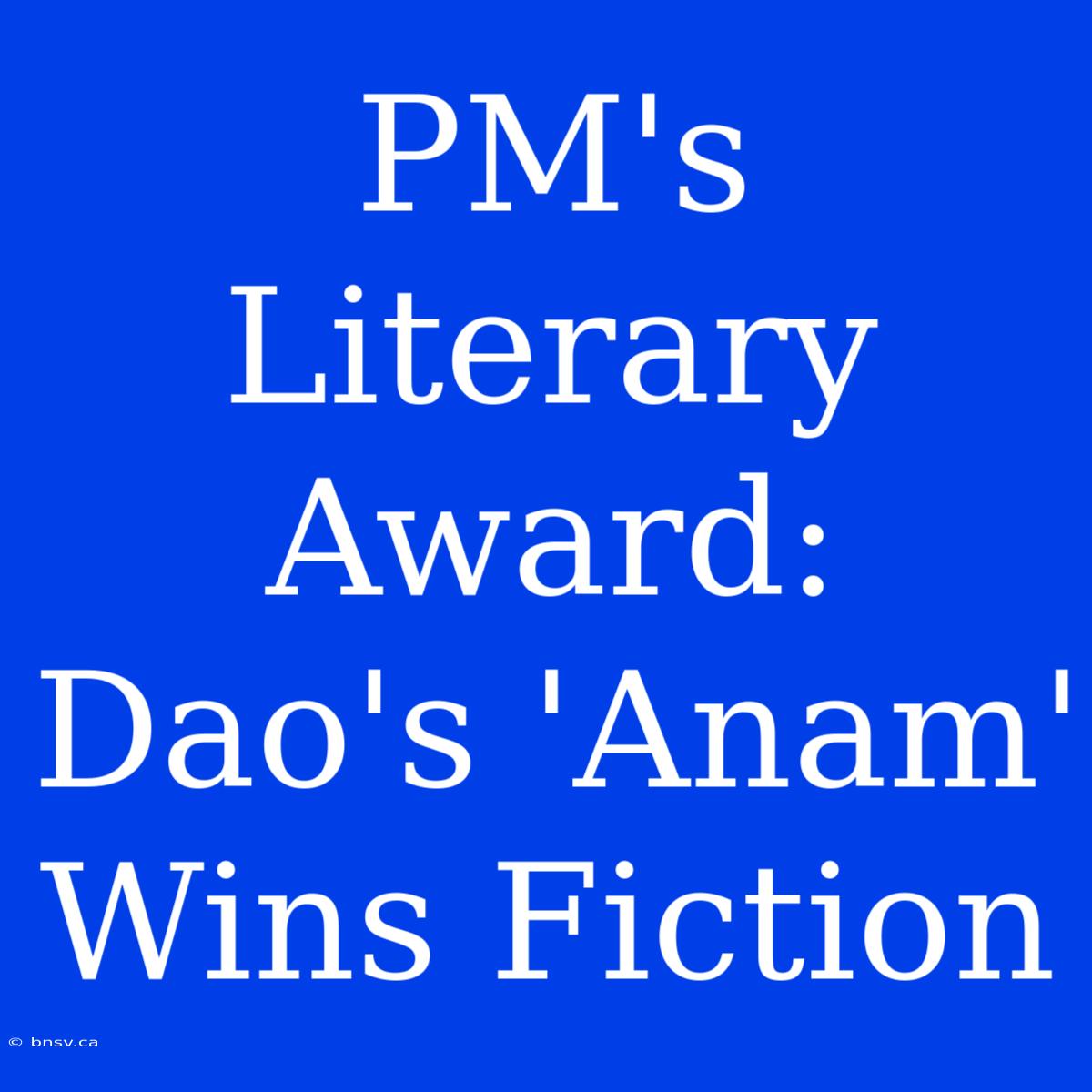 PM's Literary Award: Dao's 'Anam' Wins Fiction