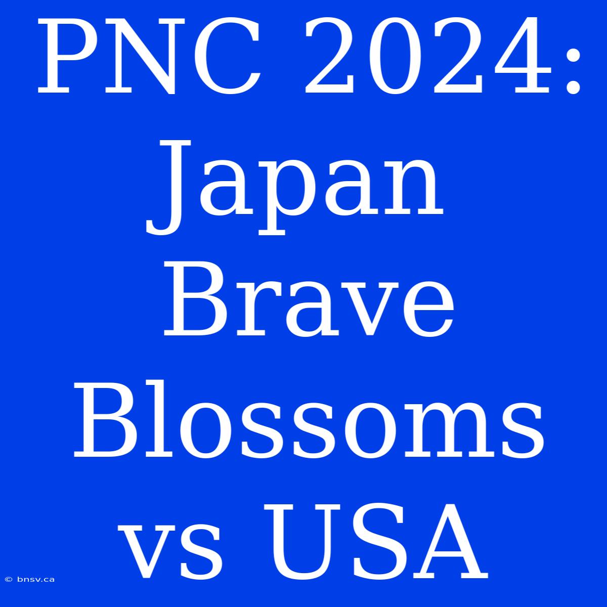 PNC 2024: Japan Brave Blossoms Vs USA