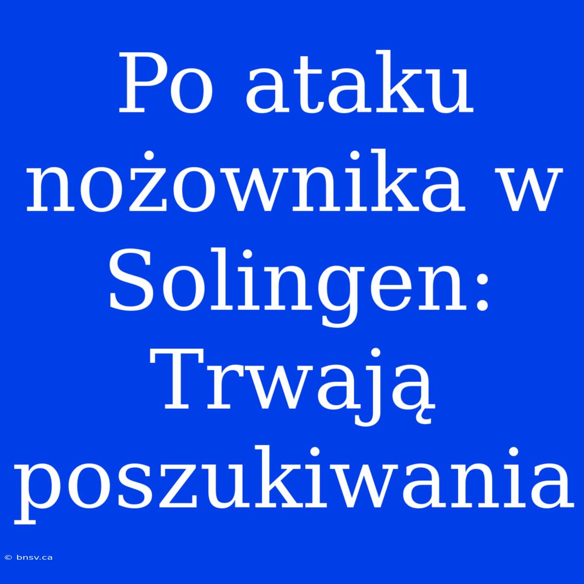 Po Ataku Nożownika W Solingen: Trwają Poszukiwania