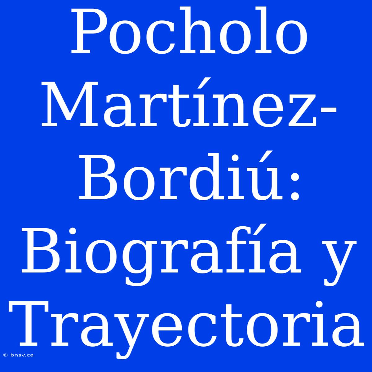 Pocholo Martínez-Bordiú: Biografía Y Trayectoria