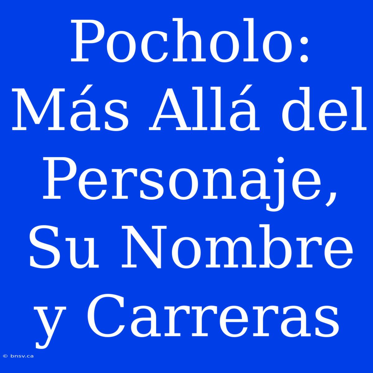 Pocholo: Más Allá Del Personaje, Su Nombre Y Carreras