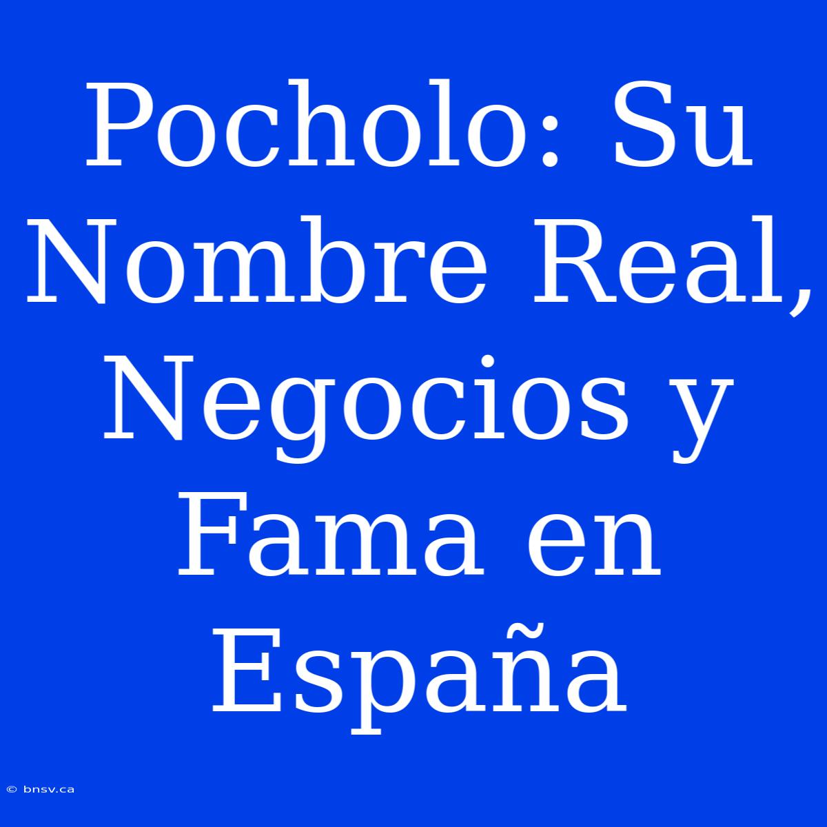 Pocholo: Su Nombre Real, Negocios Y Fama En España