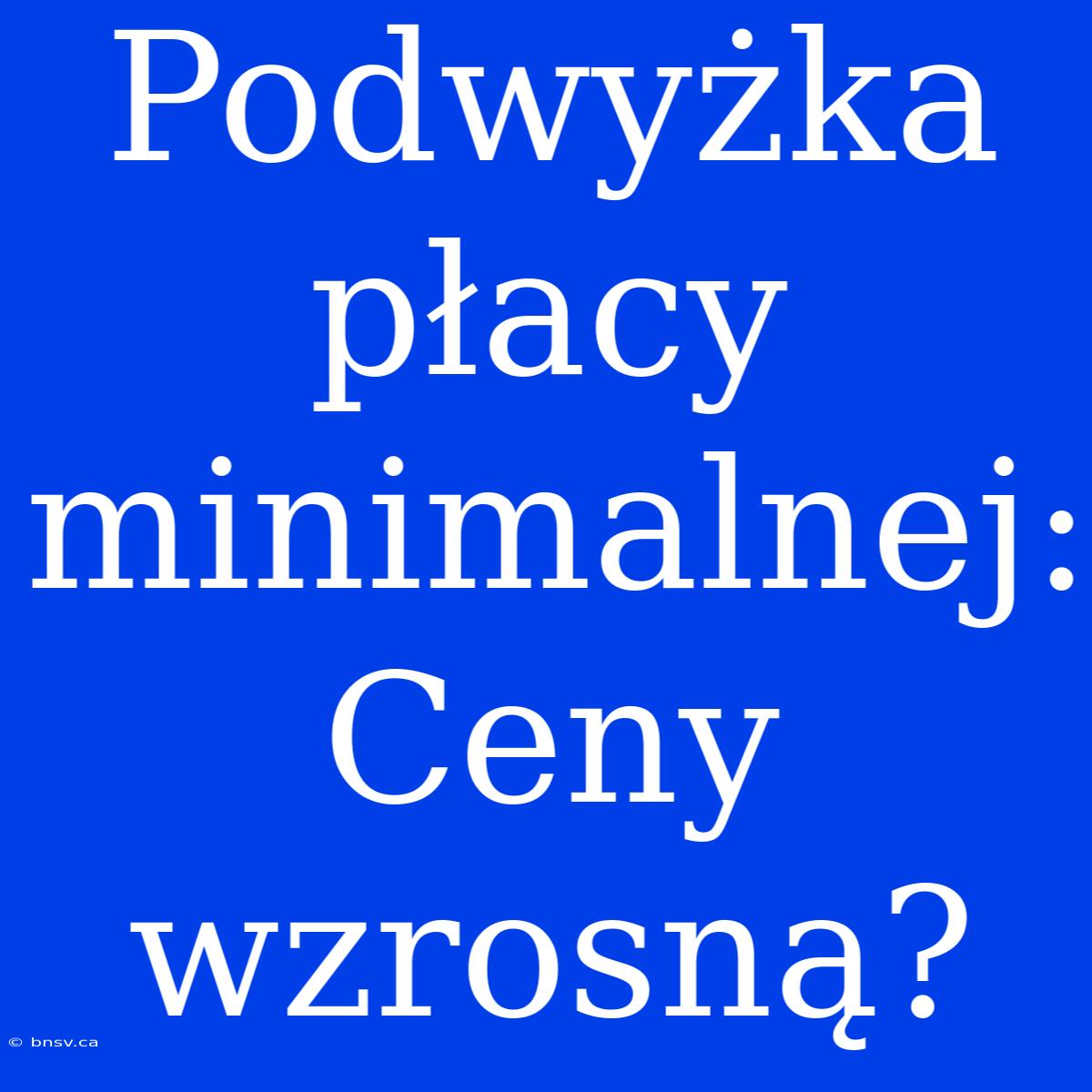 Podwyżka Płacy Minimalnej: Ceny Wzrosną?