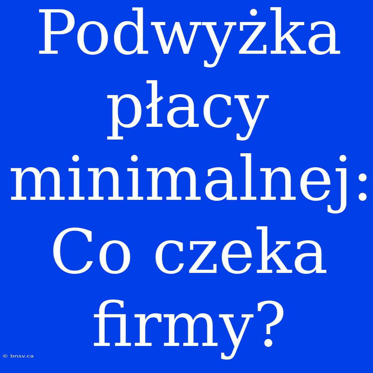 Podwyżka Płacy Minimalnej: Co Czeka Firmy?