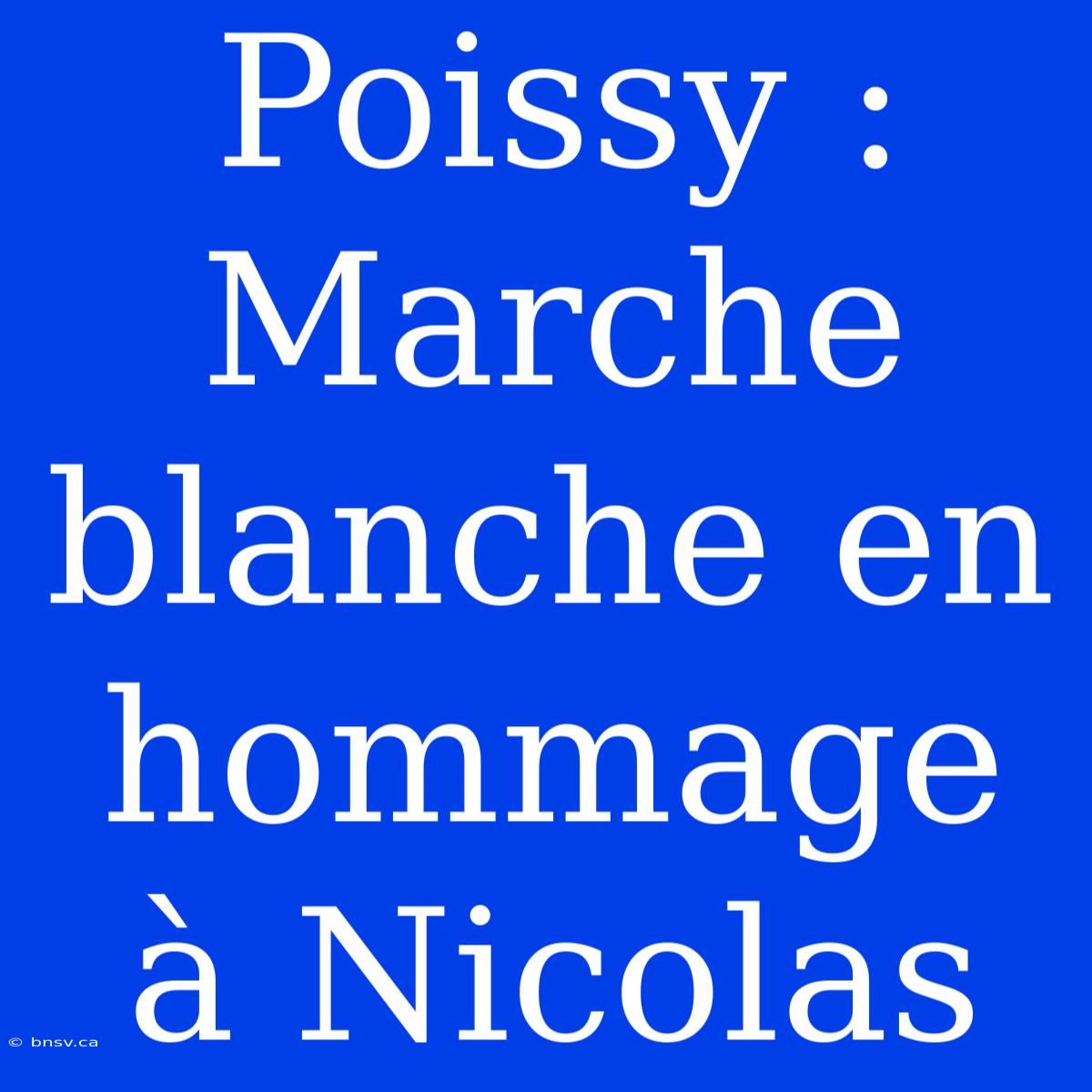 Poissy : Marche Blanche En Hommage À Nicolas