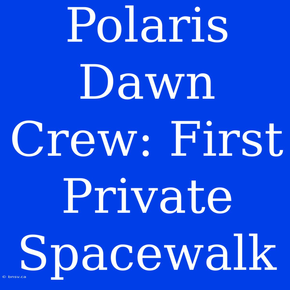 Polaris Dawn Crew: First Private Spacewalk