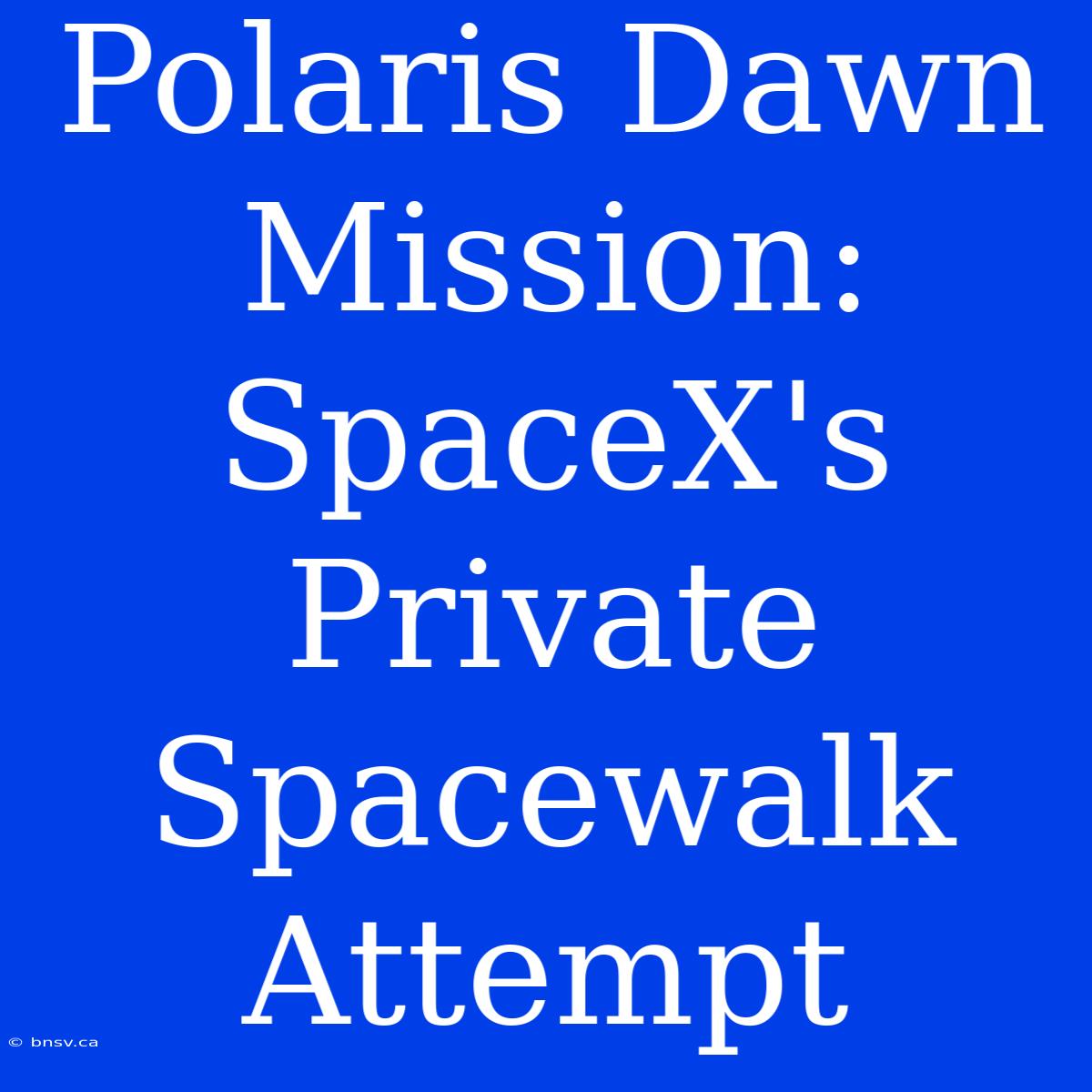 Polaris Dawn Mission: SpaceX's Private Spacewalk Attempt