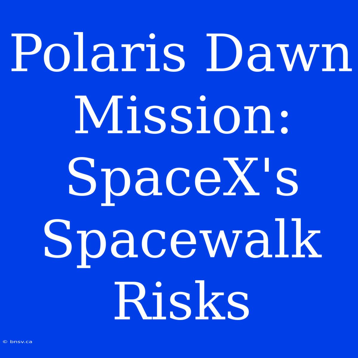 Polaris Dawn Mission: SpaceX's Spacewalk Risks