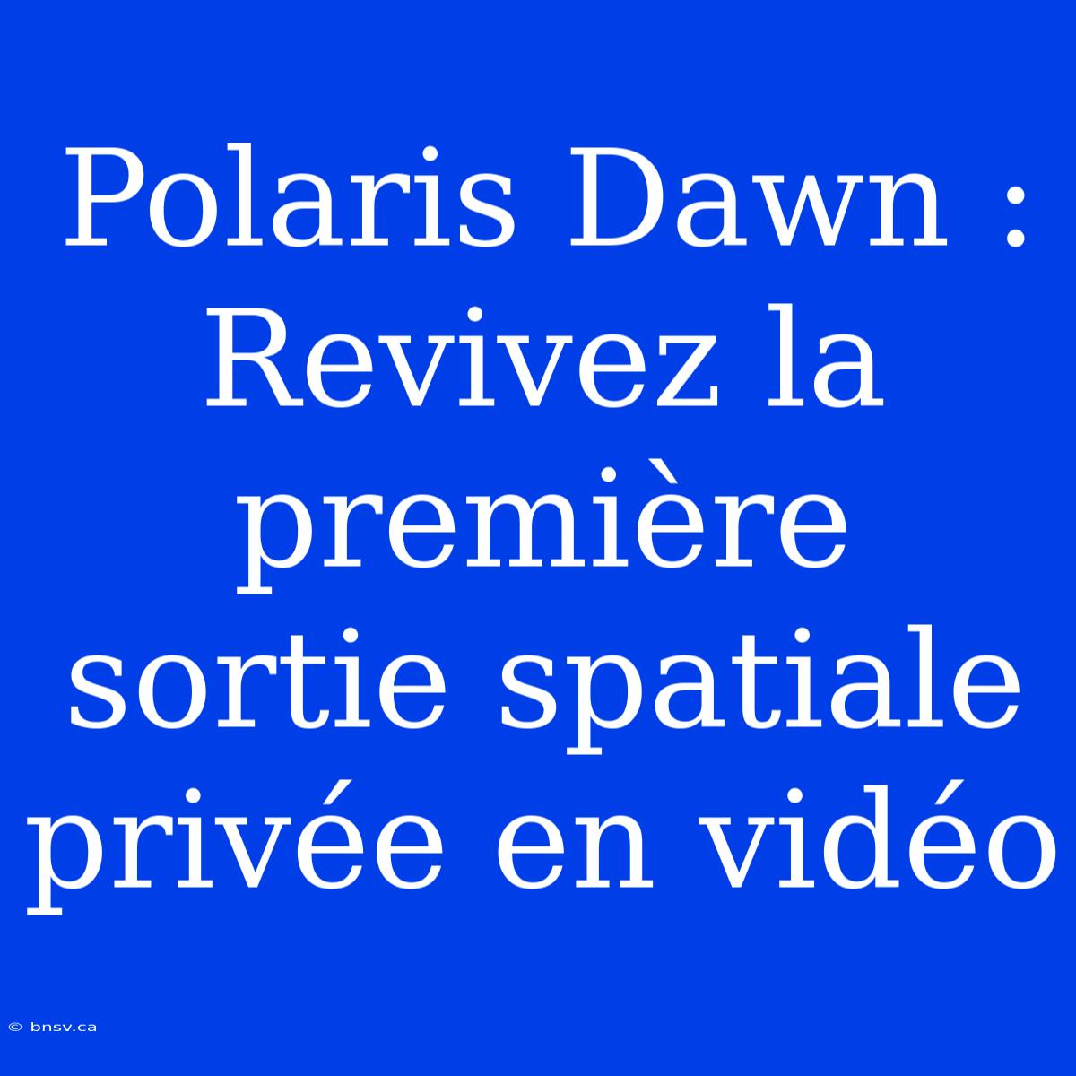 Polaris Dawn : Revivez La Première Sortie Spatiale Privée En Vidéo