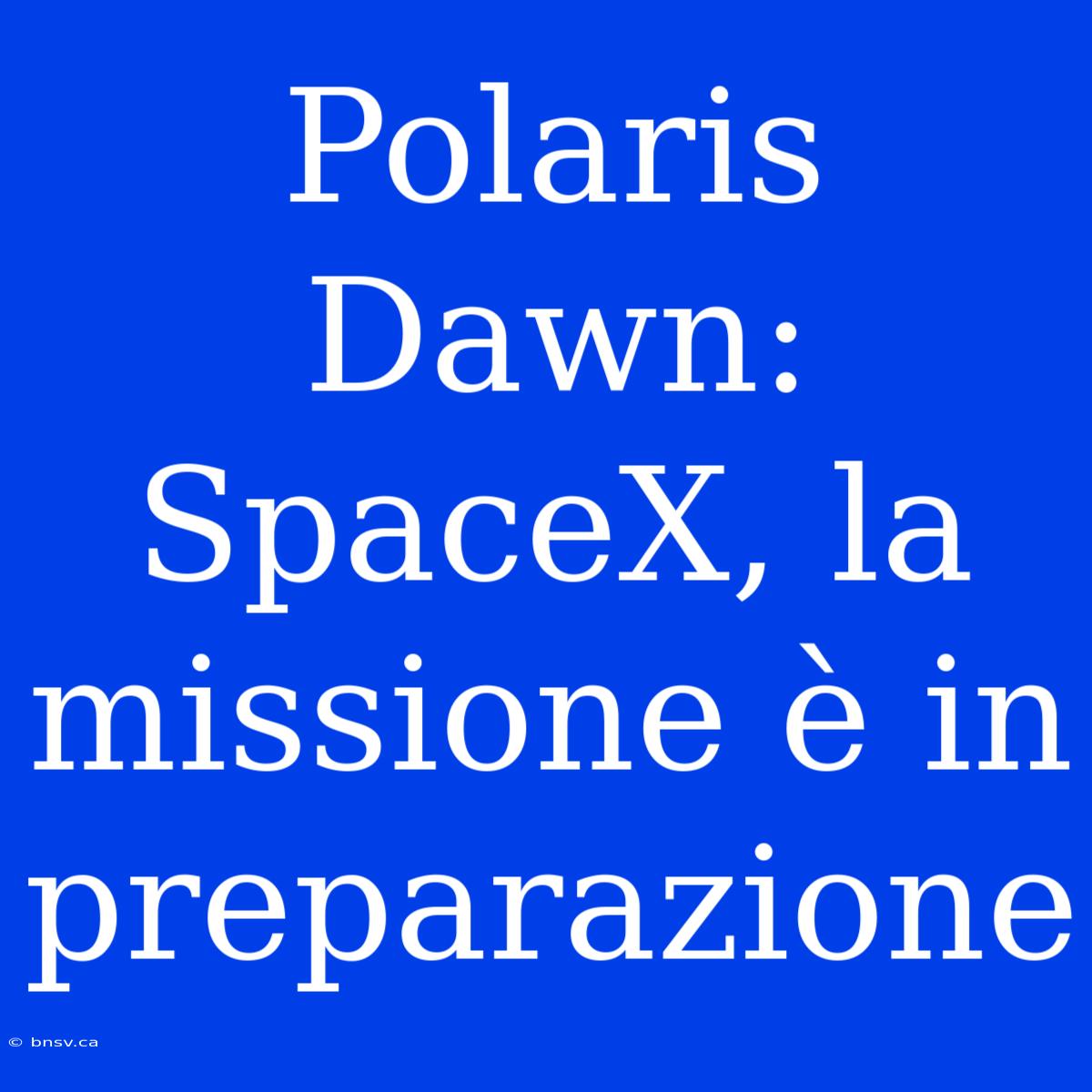 Polaris Dawn: SpaceX, La Missione È In Preparazione