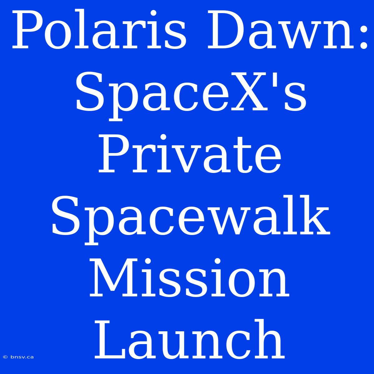 Polaris Dawn: SpaceX's Private Spacewalk Mission Launch