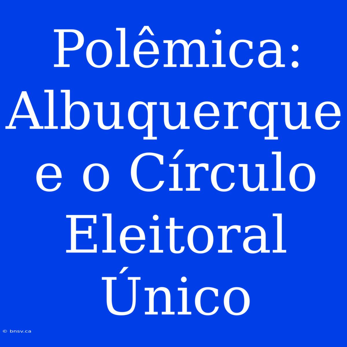 Polêmica: Albuquerque E O Círculo Eleitoral Único