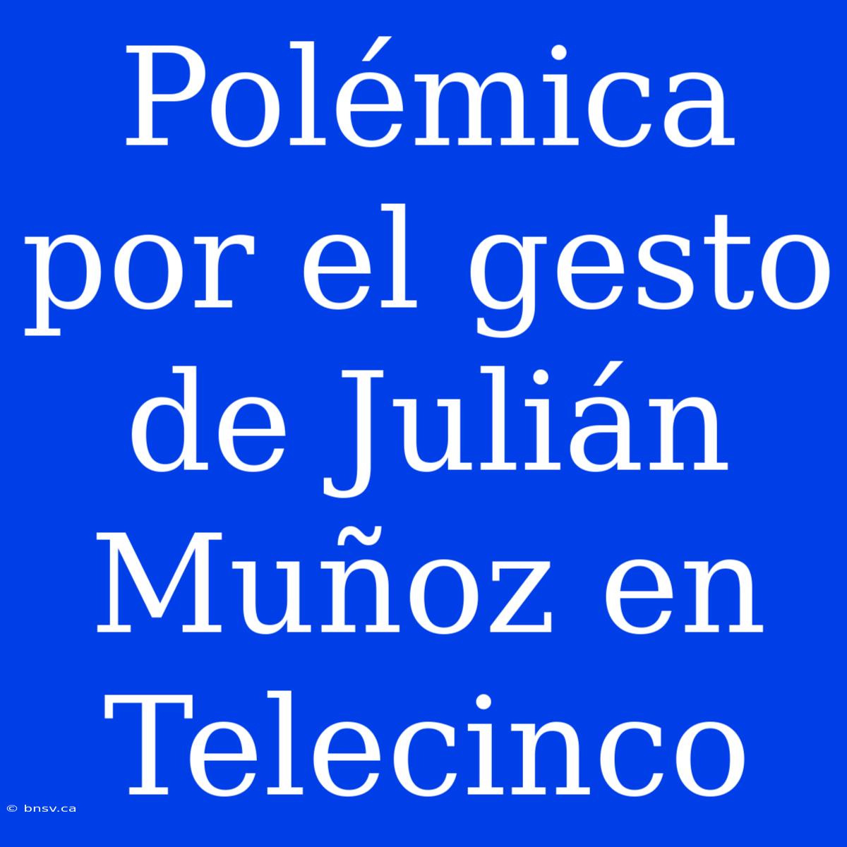 Polémica Por El Gesto De Julián Muñoz En Telecinco