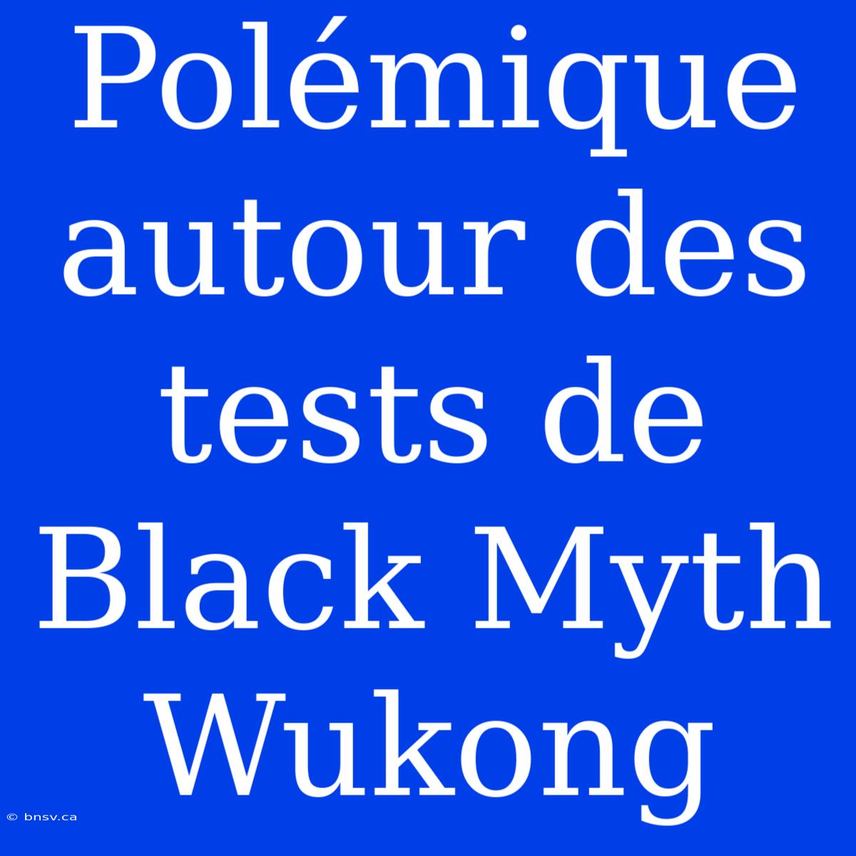 Polémique Autour Des Tests De Black Myth Wukong