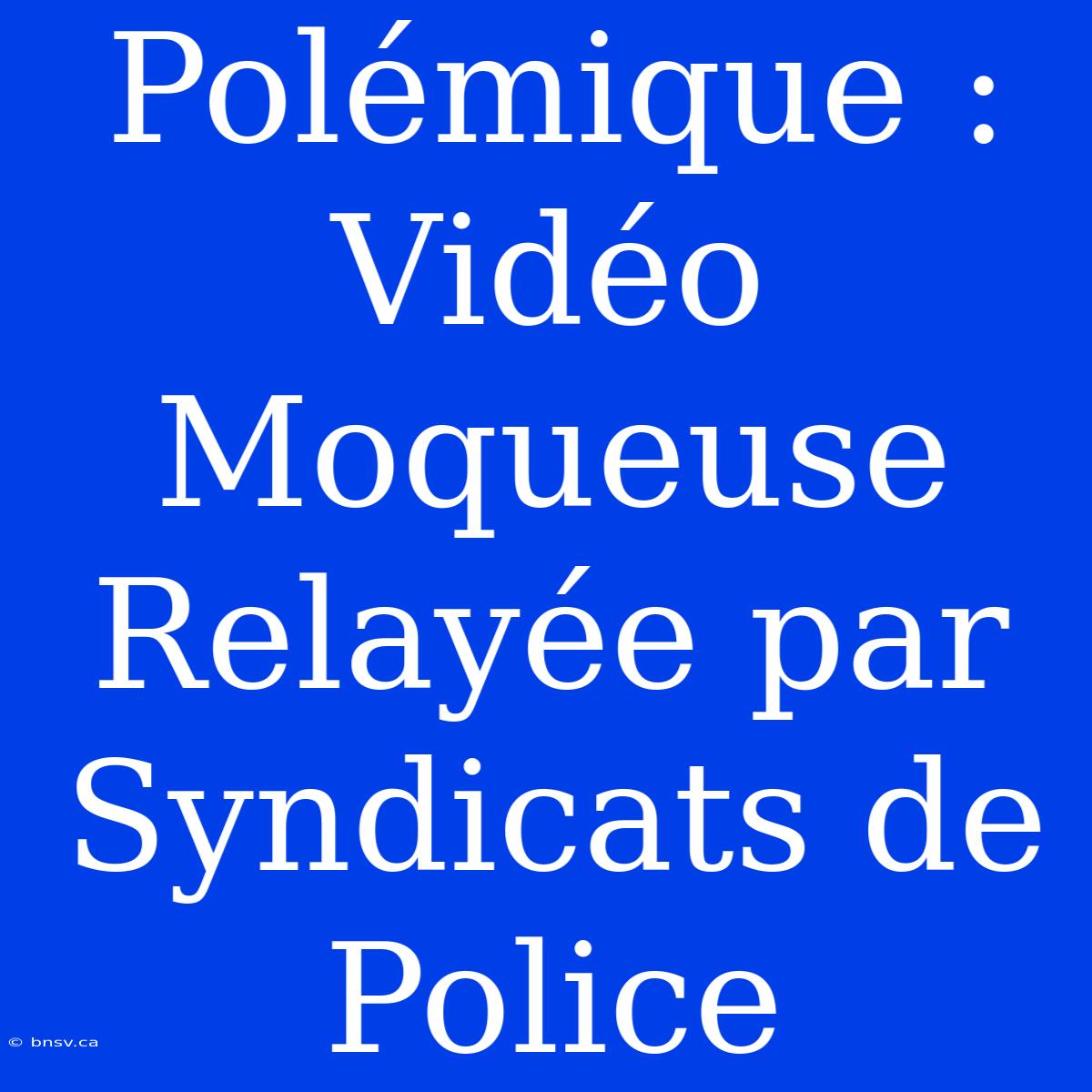 Polémique : Vidéo Moqueuse Relayée Par Syndicats De Police