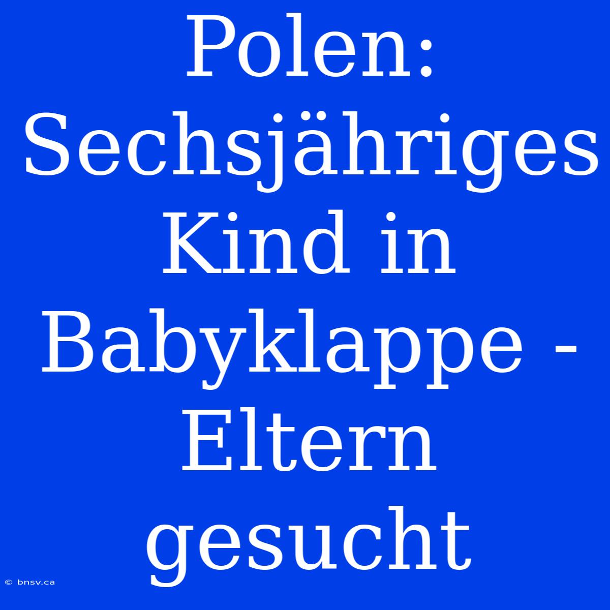 Polen: Sechsjähriges Kind In Babyklappe - Eltern Gesucht