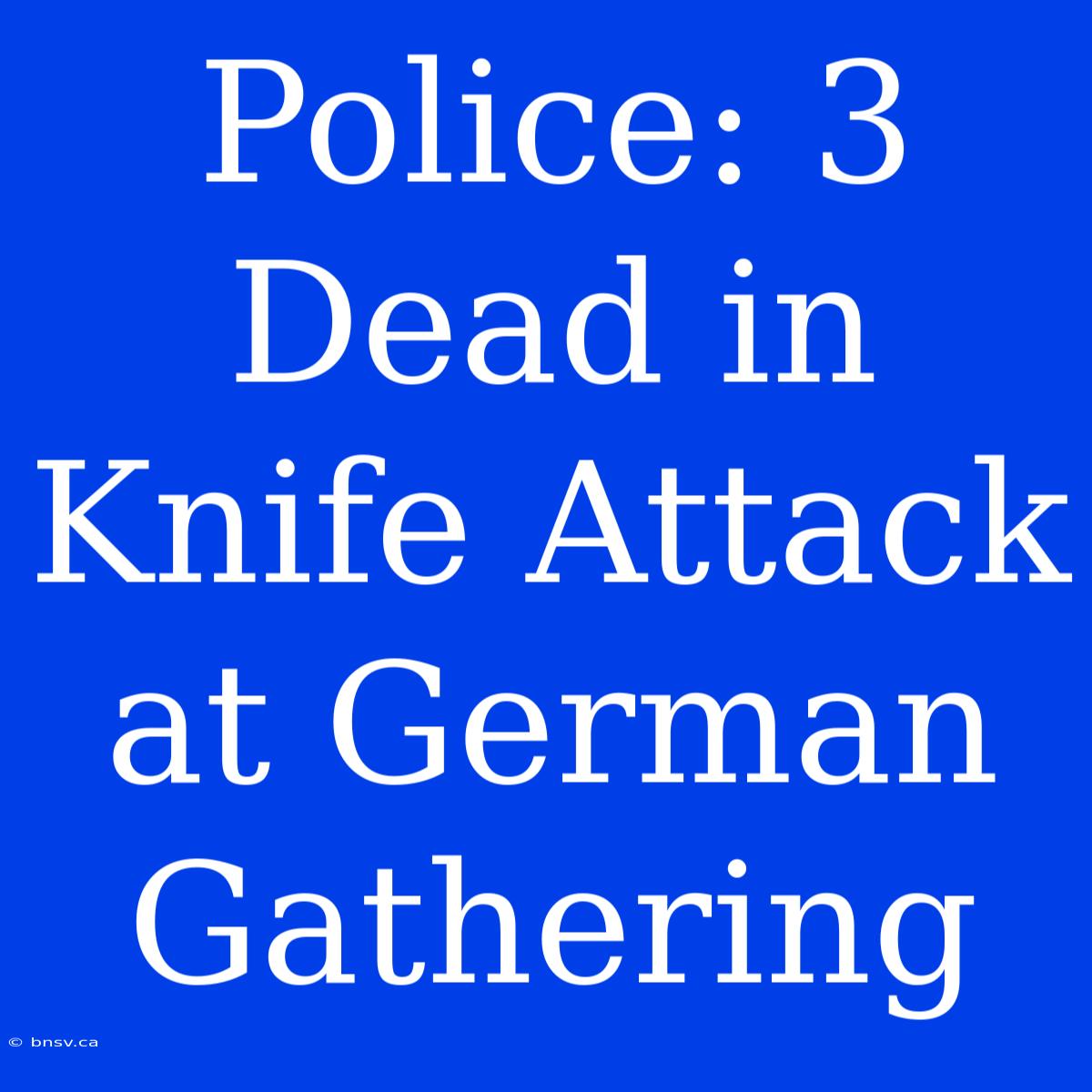 Police: 3 Dead In Knife Attack At German Gathering