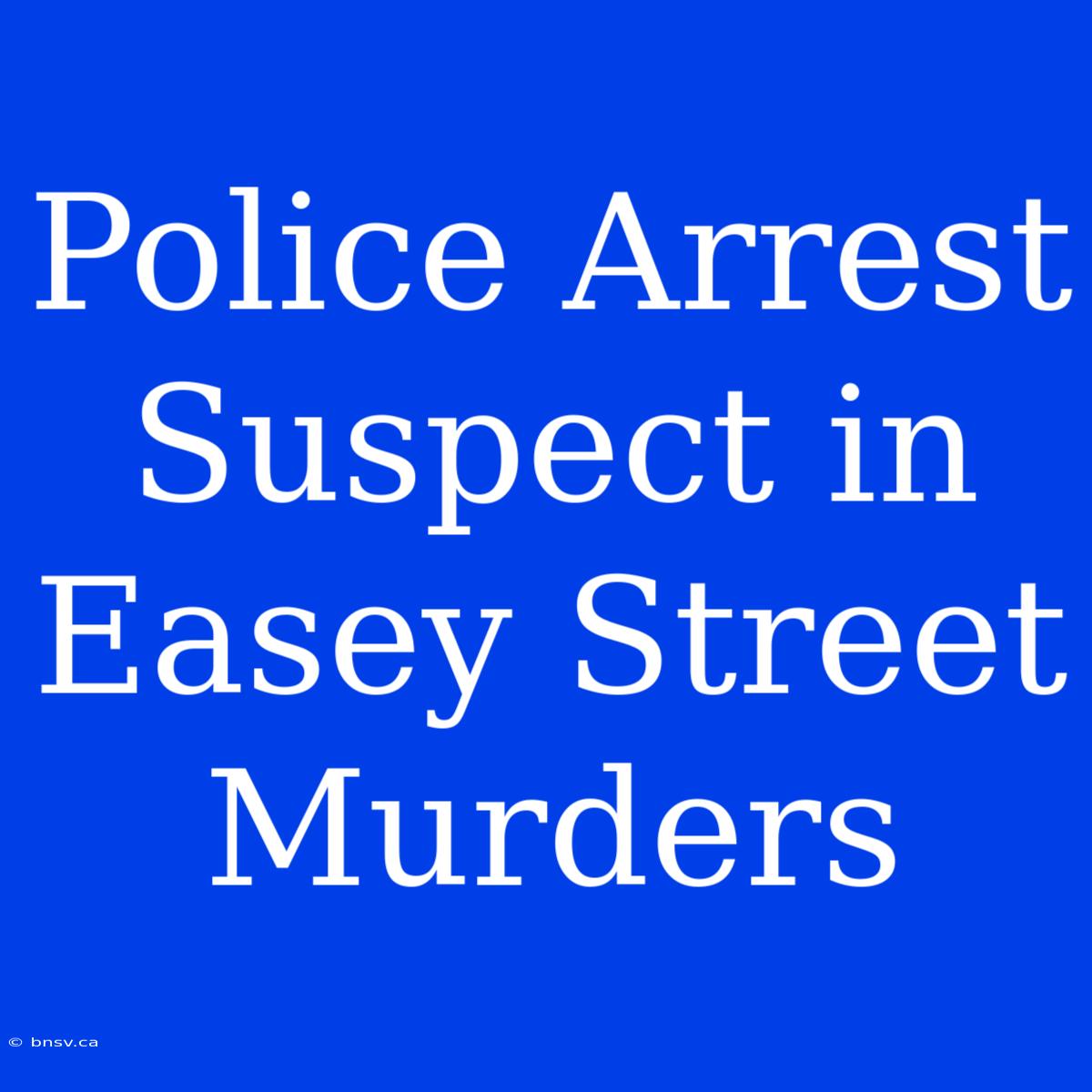 Police Arrest Suspect In Easey Street Murders