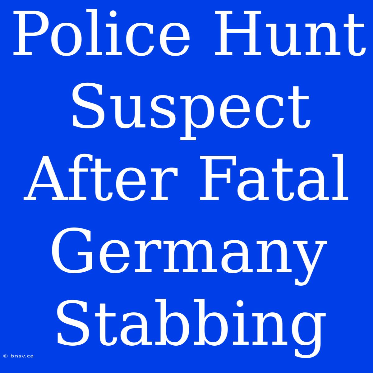 Police Hunt Suspect After Fatal Germany Stabbing