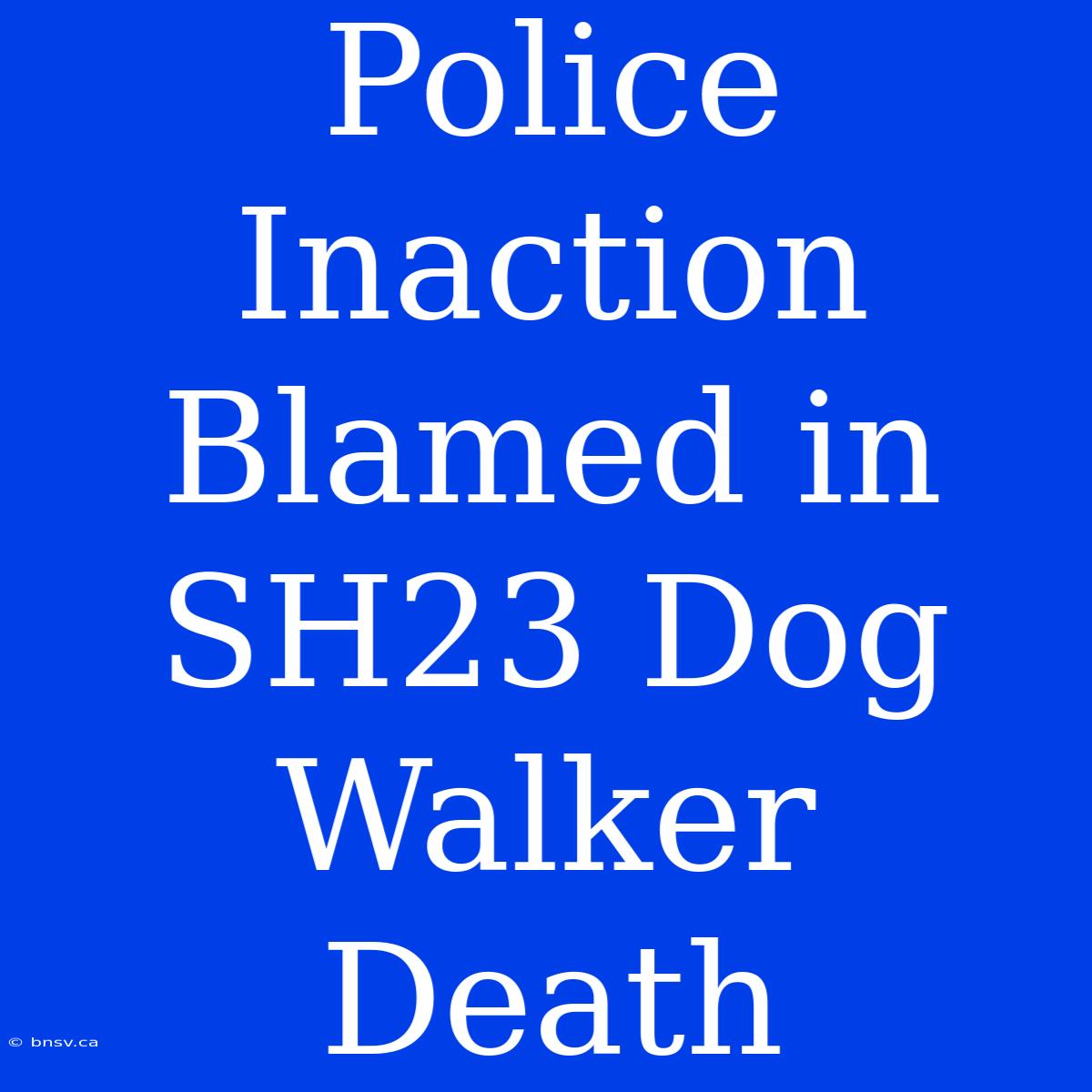 Police Inaction Blamed In SH23 Dog Walker Death