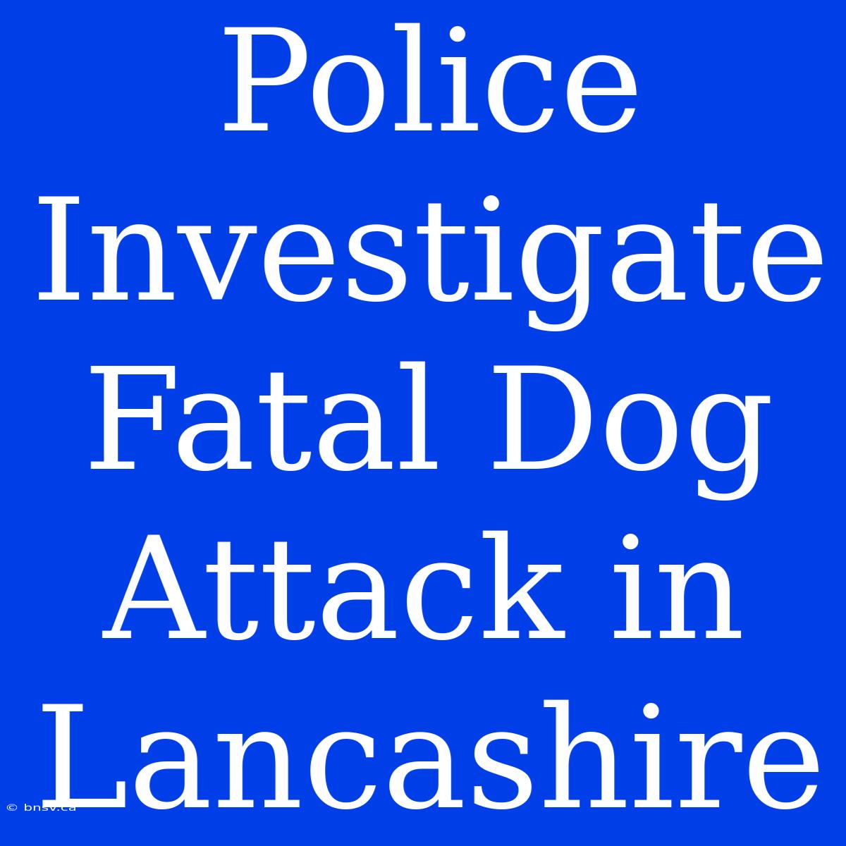 Police Investigate Fatal Dog Attack In Lancashire