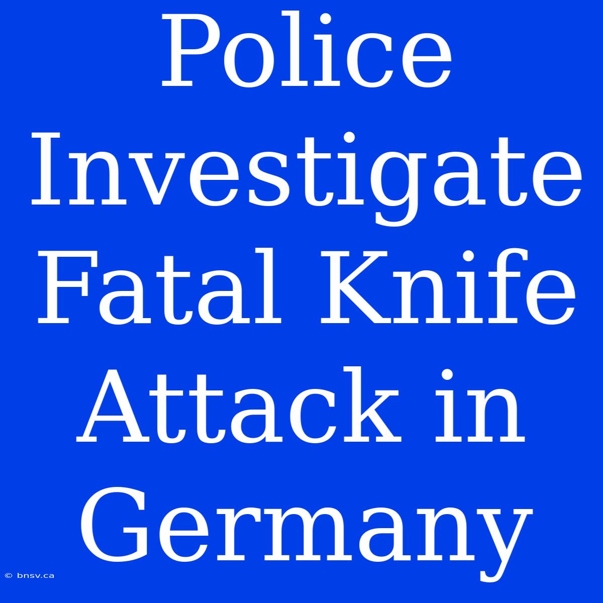 Police Investigate Fatal Knife Attack In Germany