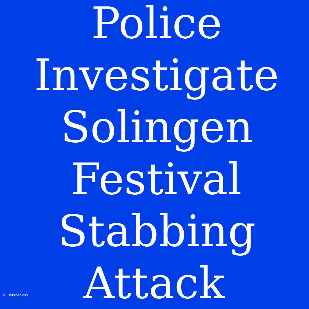 Police Investigate Solingen Festival Stabbing Attack