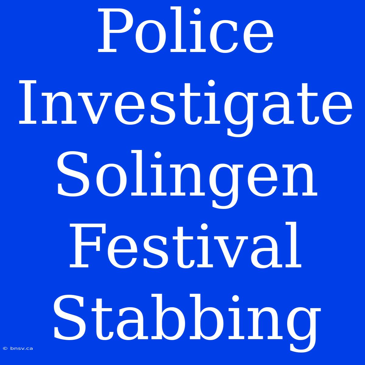 Police Investigate Solingen Festival Stabbing