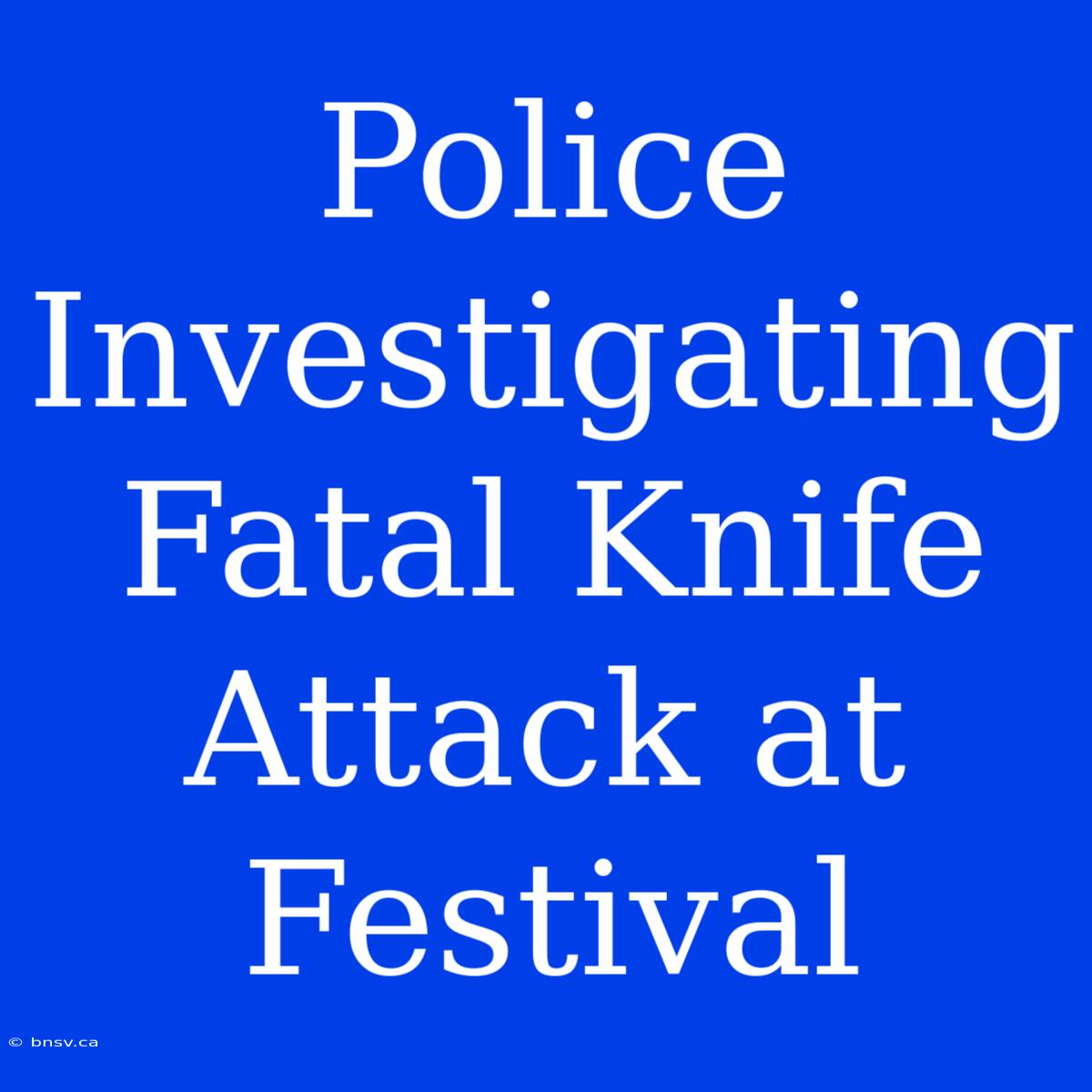 Police Investigating Fatal Knife Attack At Festival