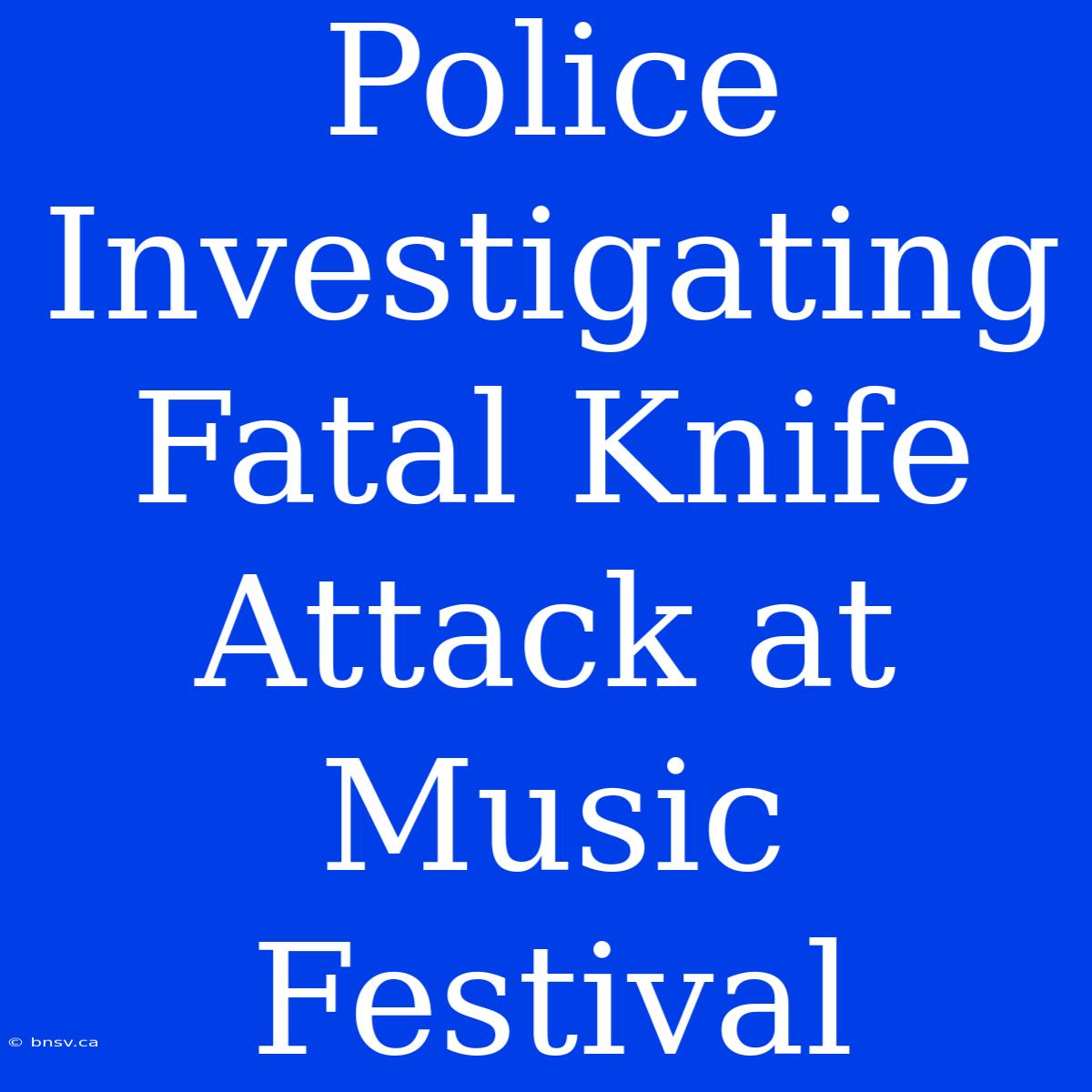 Police Investigating Fatal Knife Attack At Music Festival