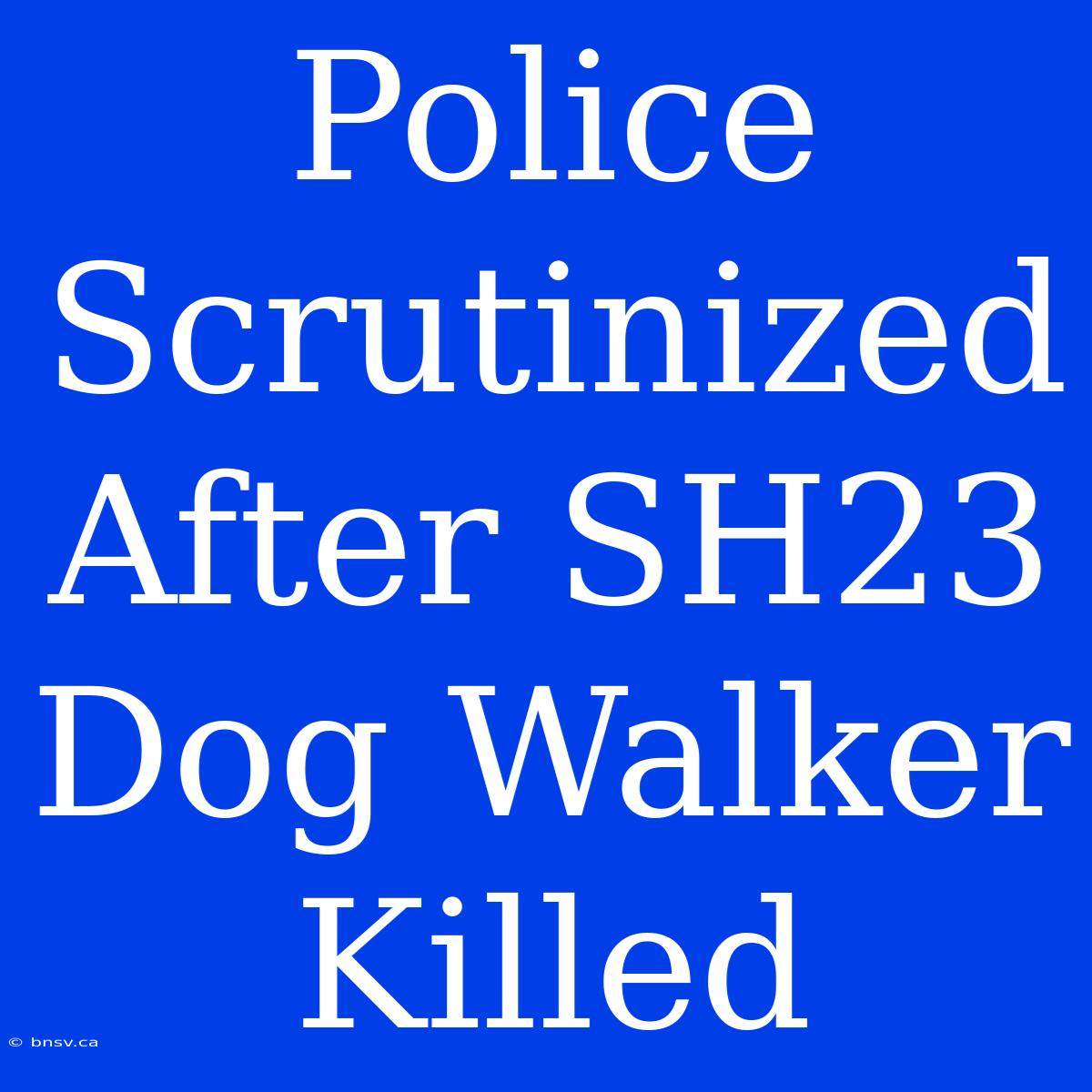 Police Scrutinized After SH23 Dog Walker Killed