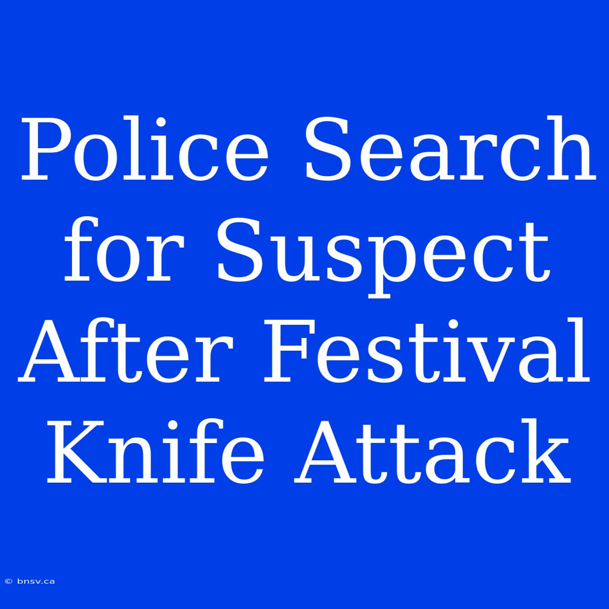 Police Search For Suspect After Festival Knife Attack