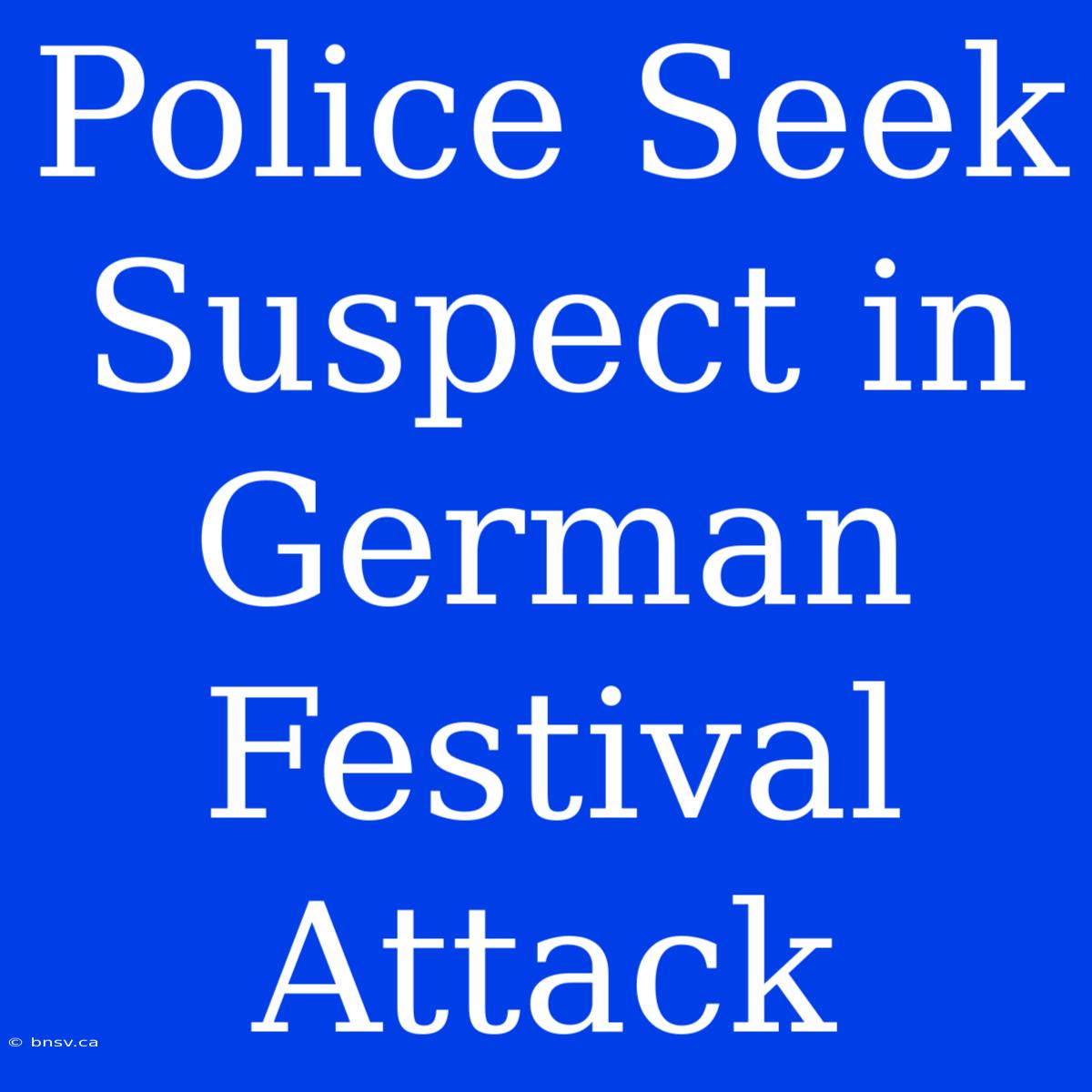 Police Seek Suspect In German Festival Attack