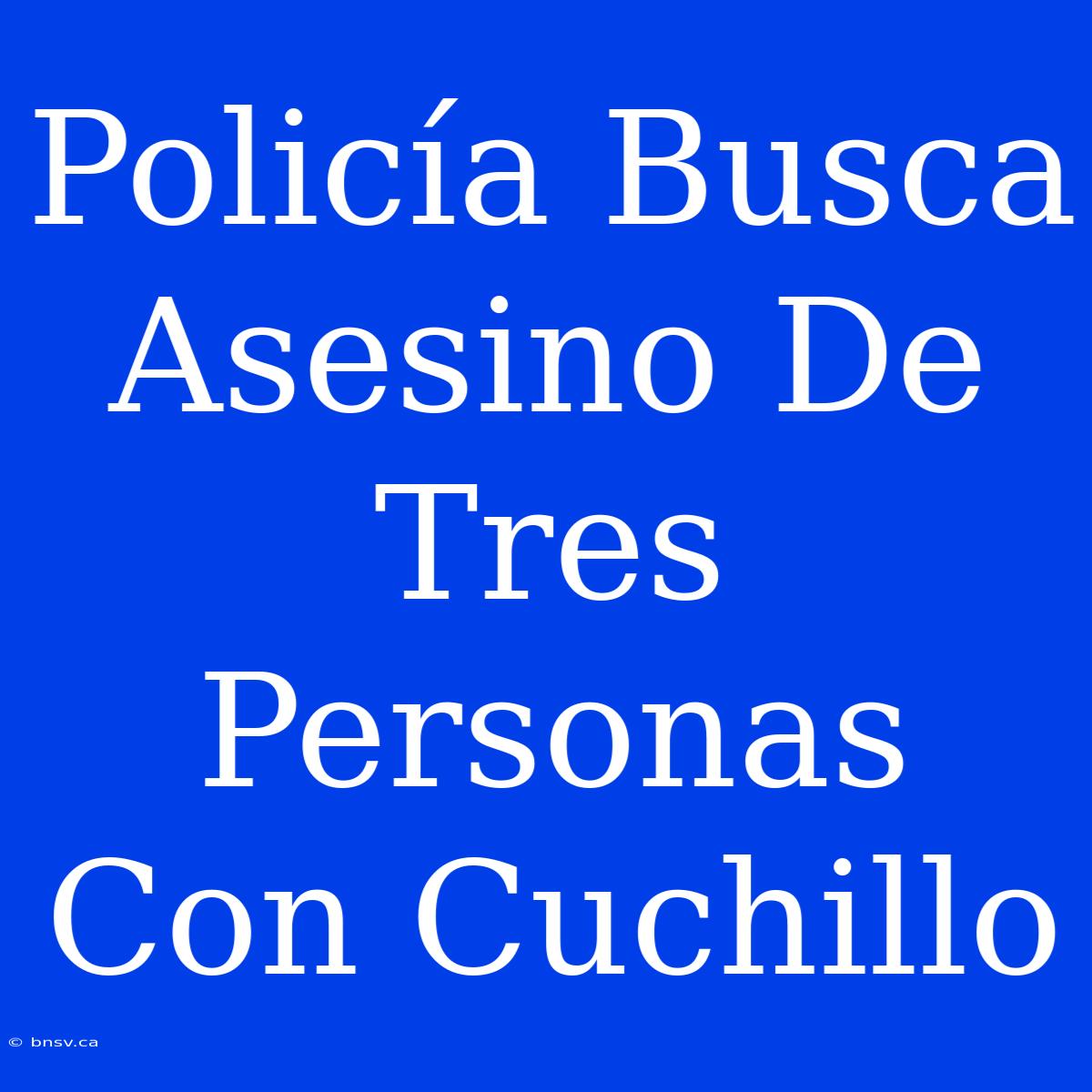 Policía Busca Asesino De Tres Personas Con Cuchillo