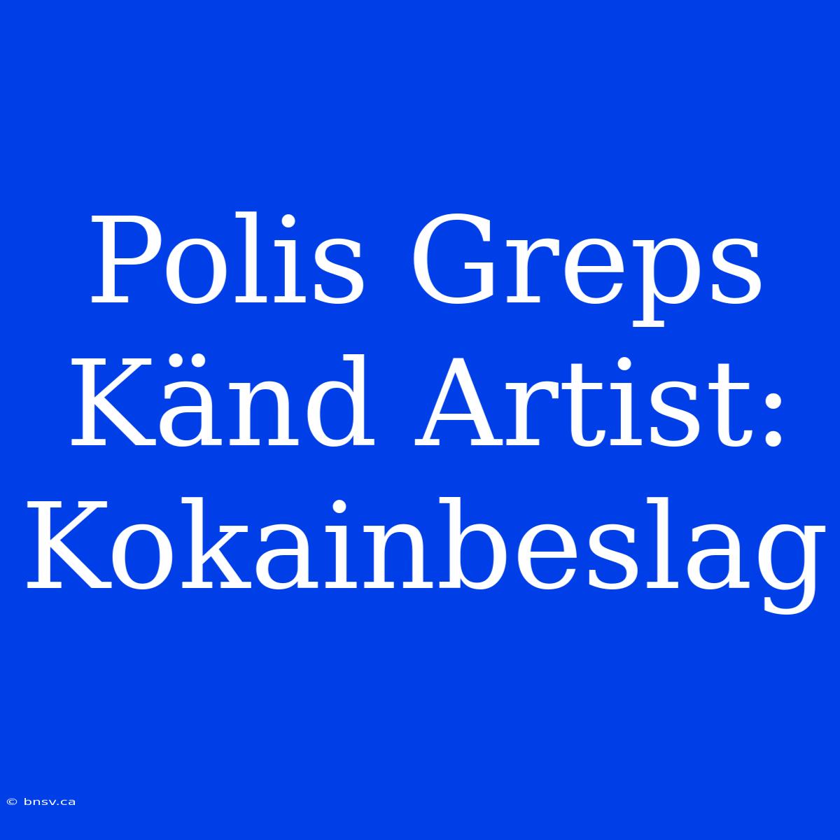 Polis Greps Känd Artist: Kokainbeslag