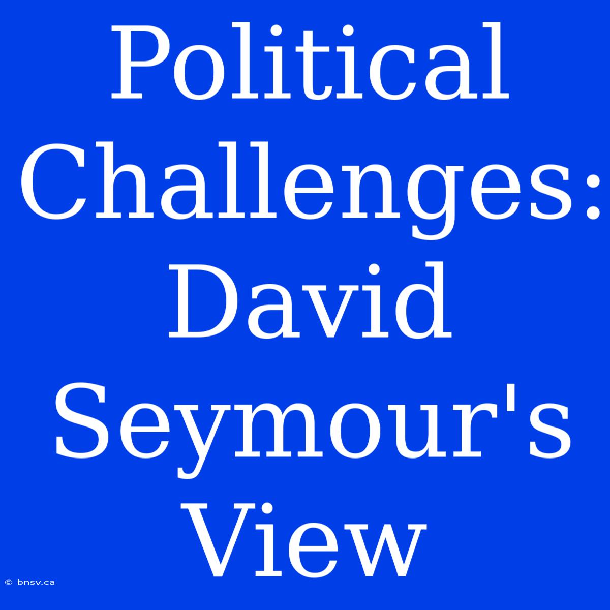 Political Challenges: David Seymour's View