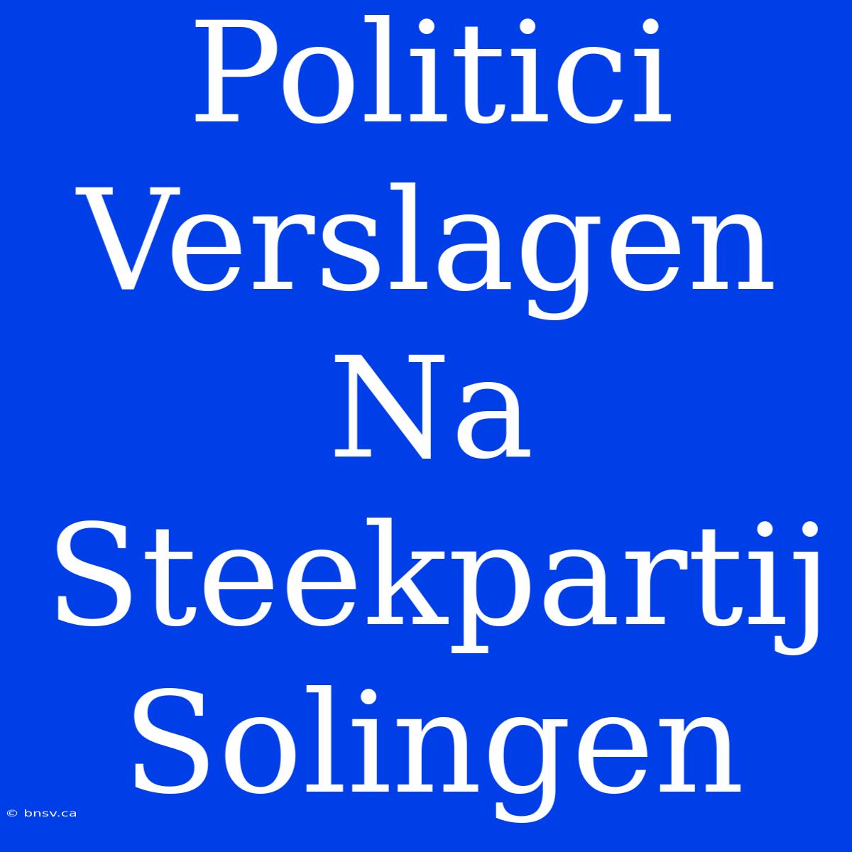 Politici Verslagen Na Steekpartij Solingen