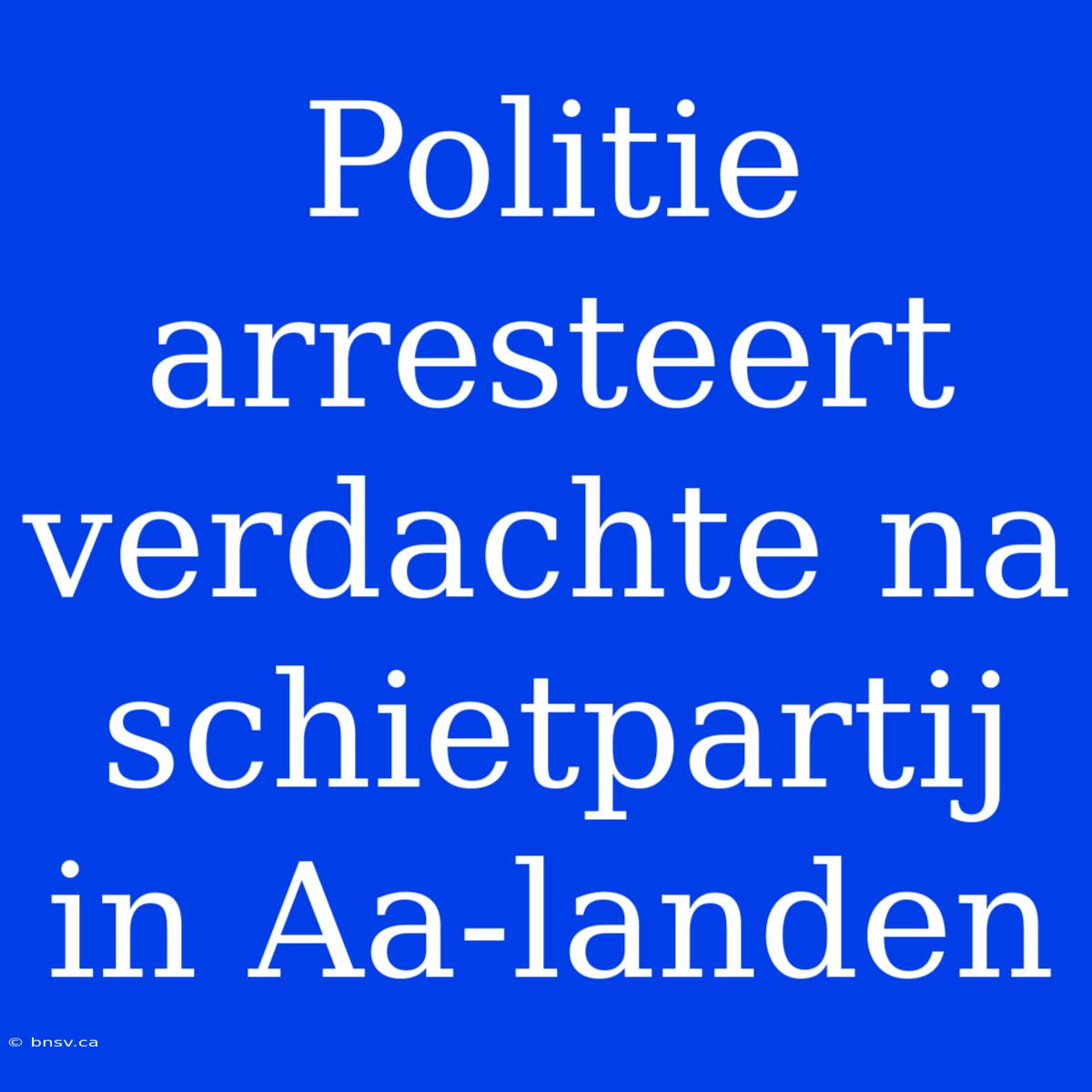 Politie Arresteert Verdachte Na Schietpartij In Aa-landen