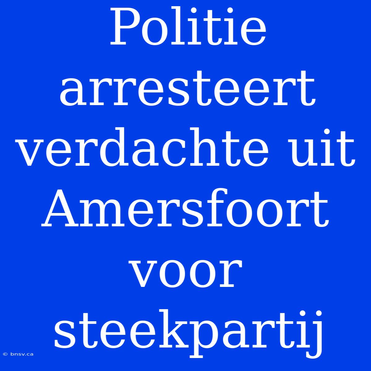 Politie Arresteert Verdachte Uit Amersfoort Voor Steekpartij