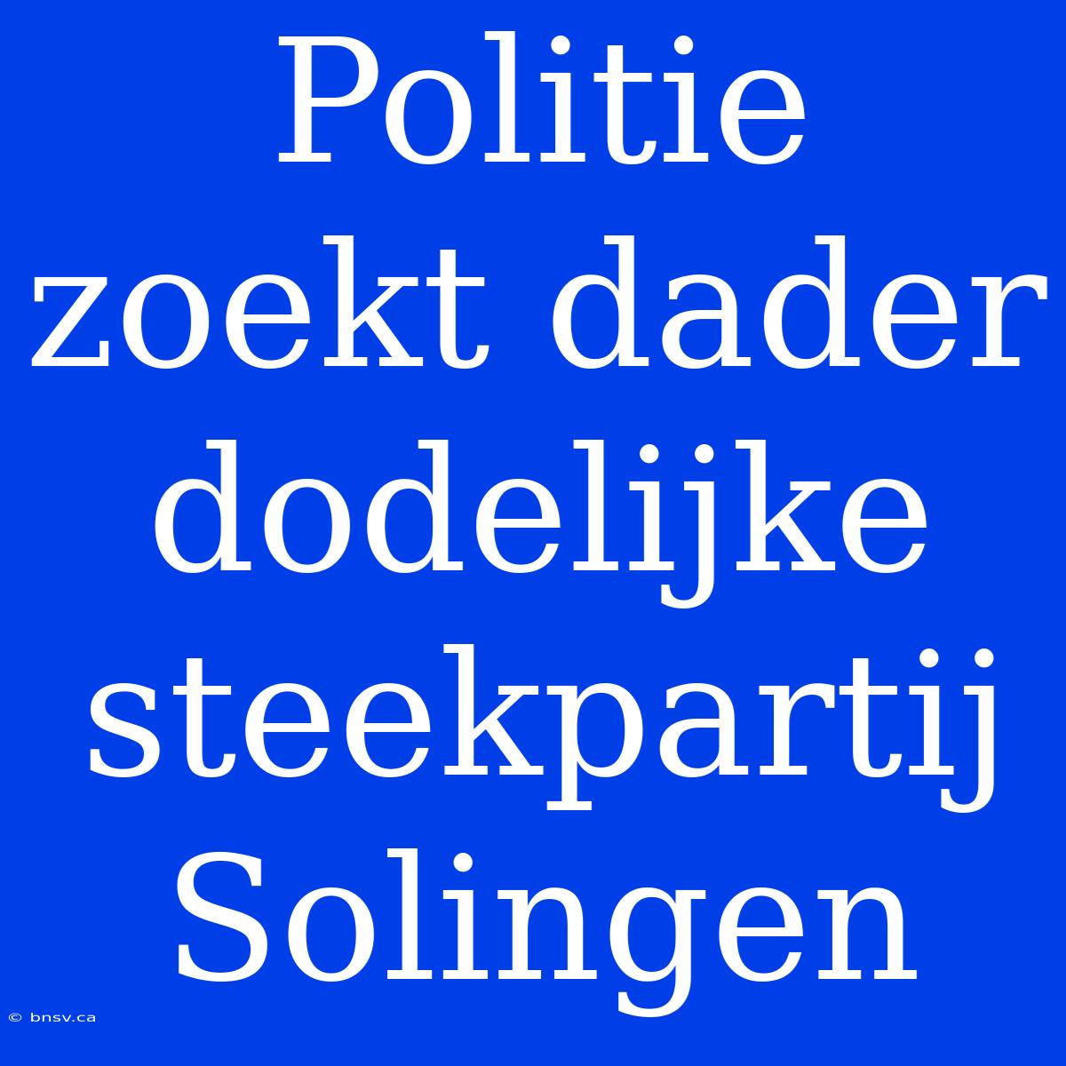 Politie Zoekt Dader Dodelijke Steekpartij Solingen